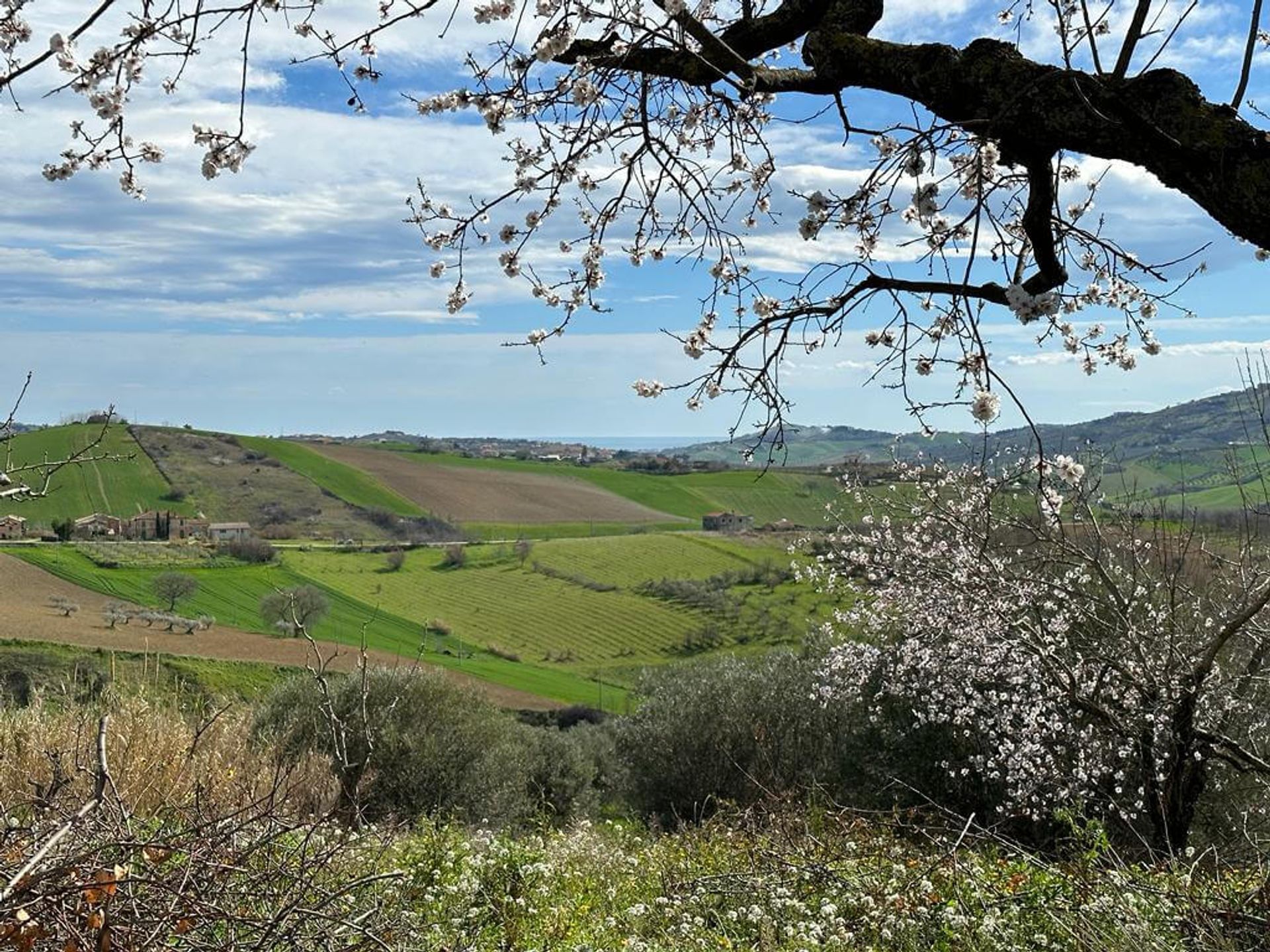 Condominium in Centocelle, Lazio 11828988