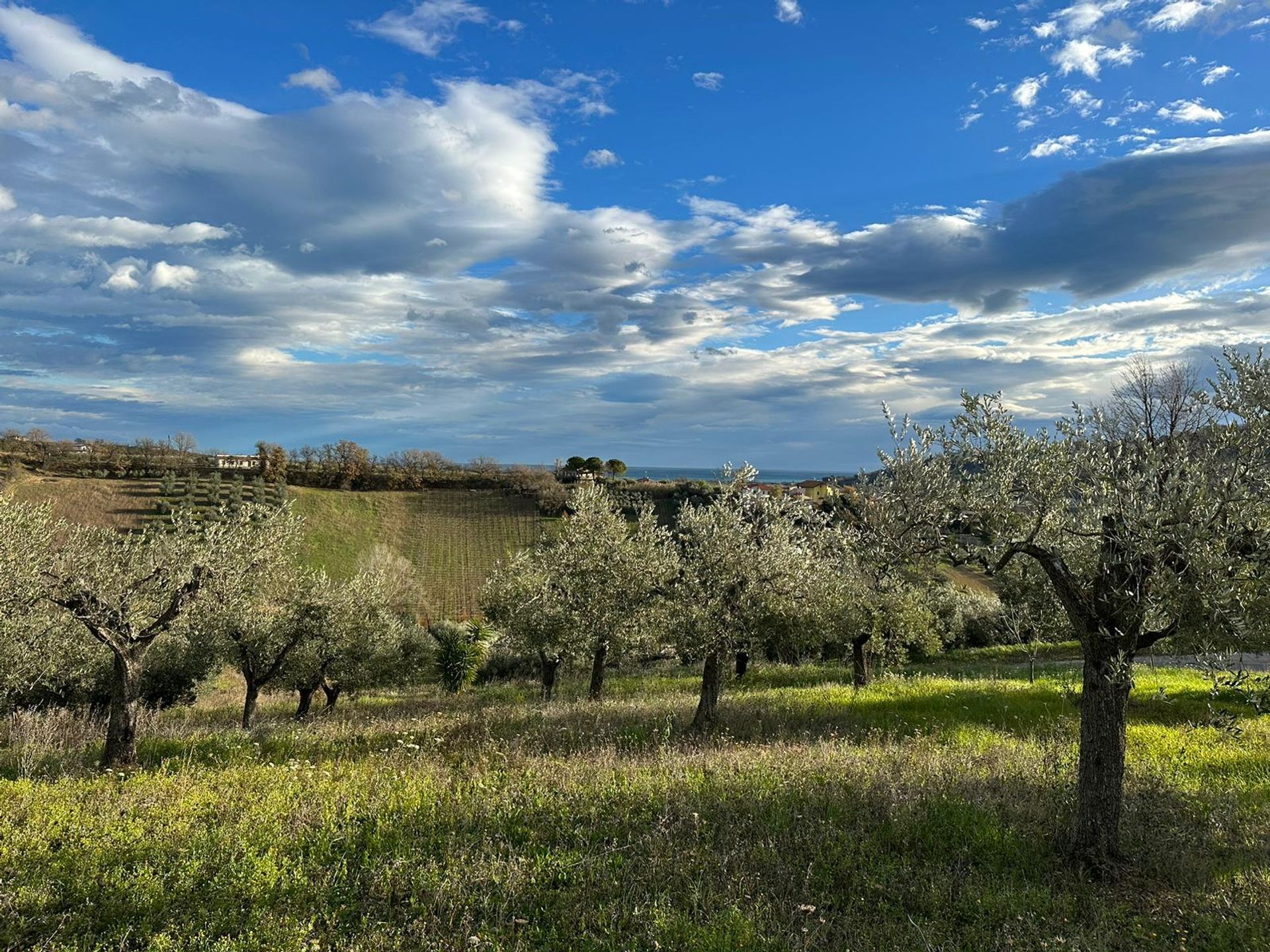 Condominium in Centocelle, Lazio 11829039