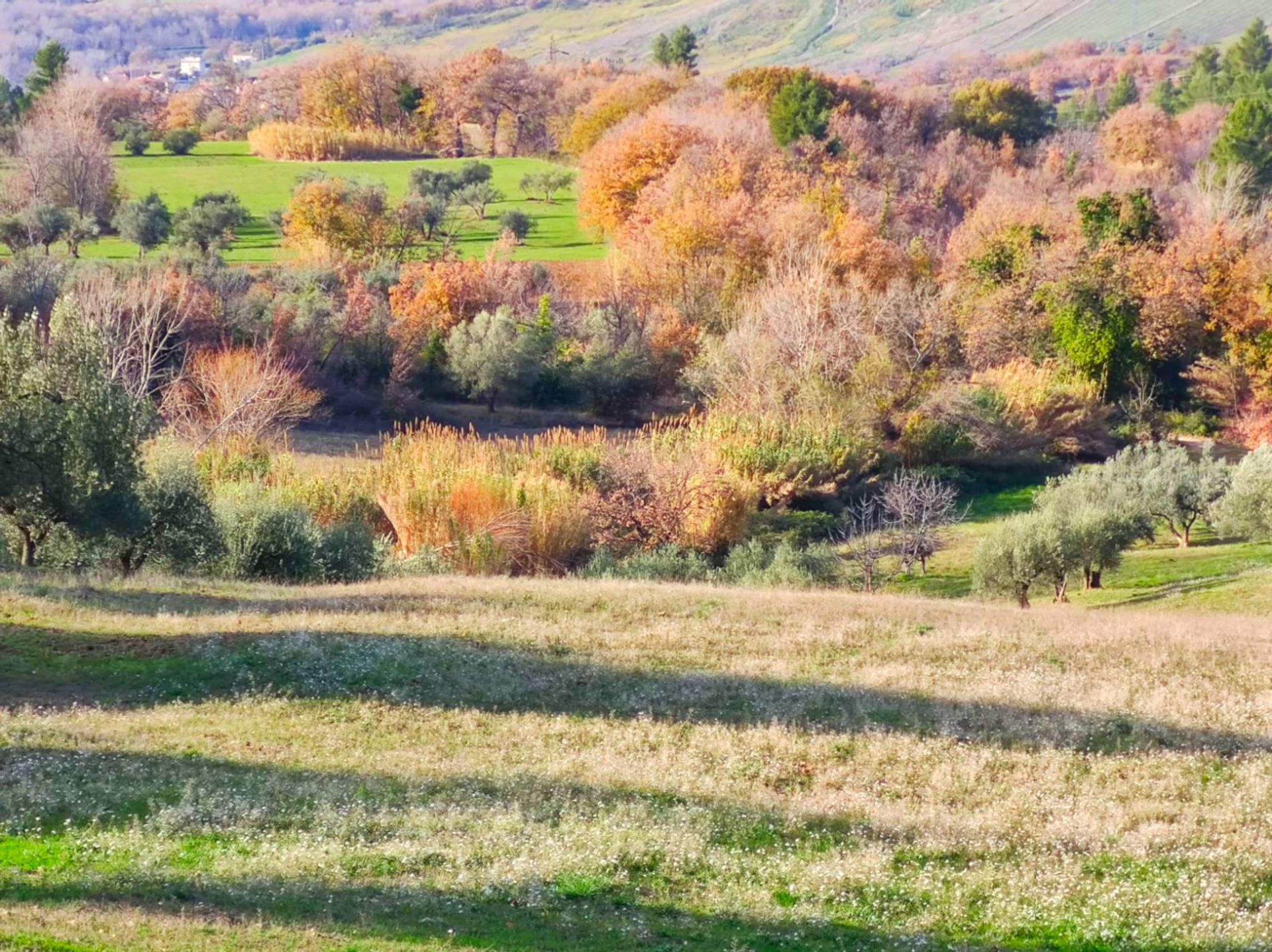 קוֹנדוֹמִינִיוֹן ב Centocelle, לאציו 11829054