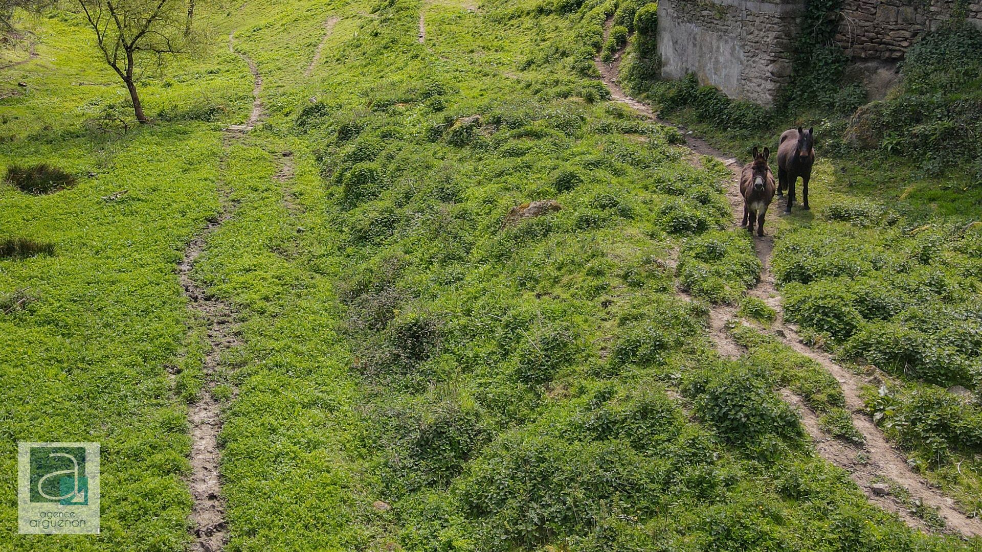 بيت في Plenee-Jugon, Bretagne 11830248