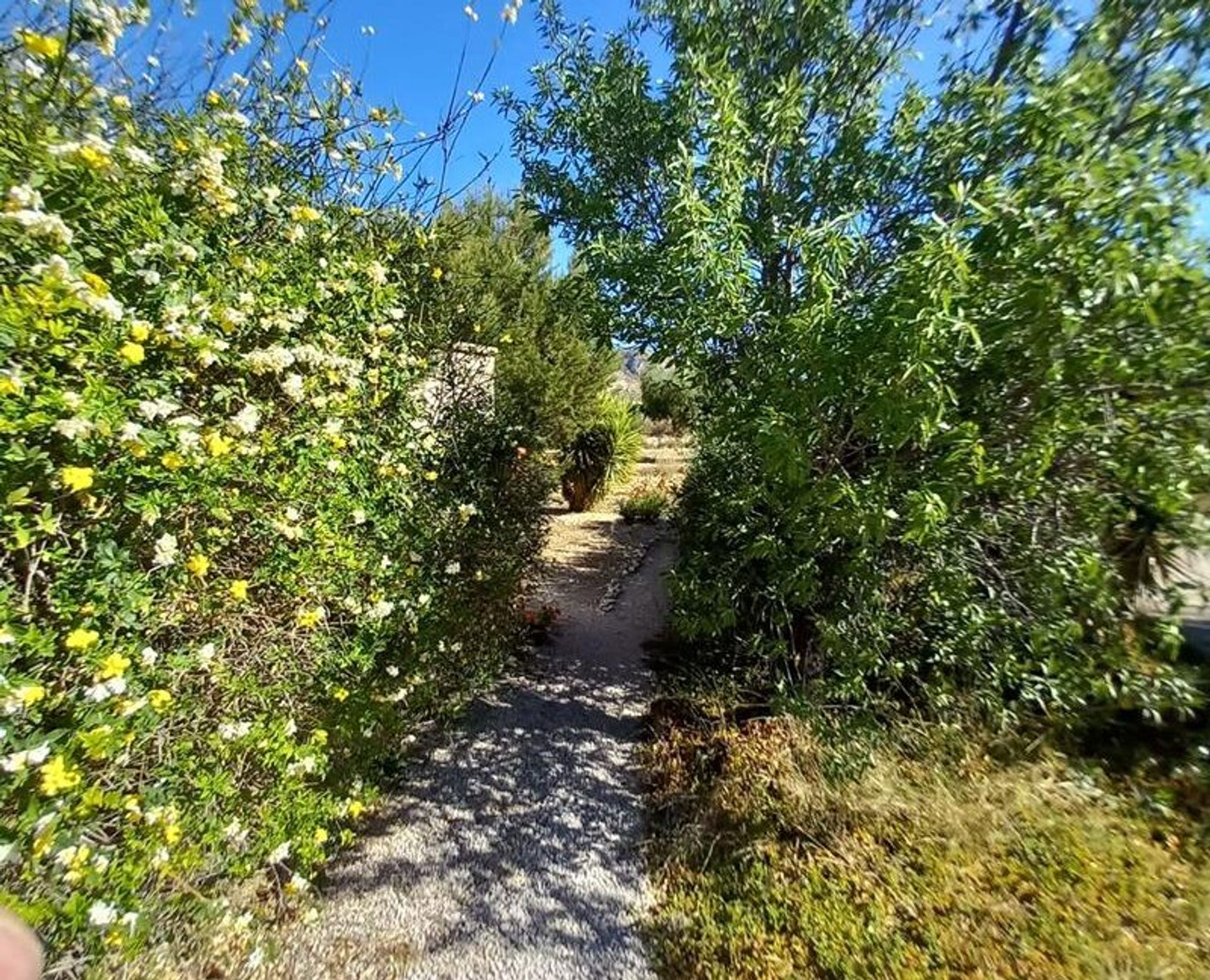 loger dans El Fondó de les Neus, Valencian Community 11830285