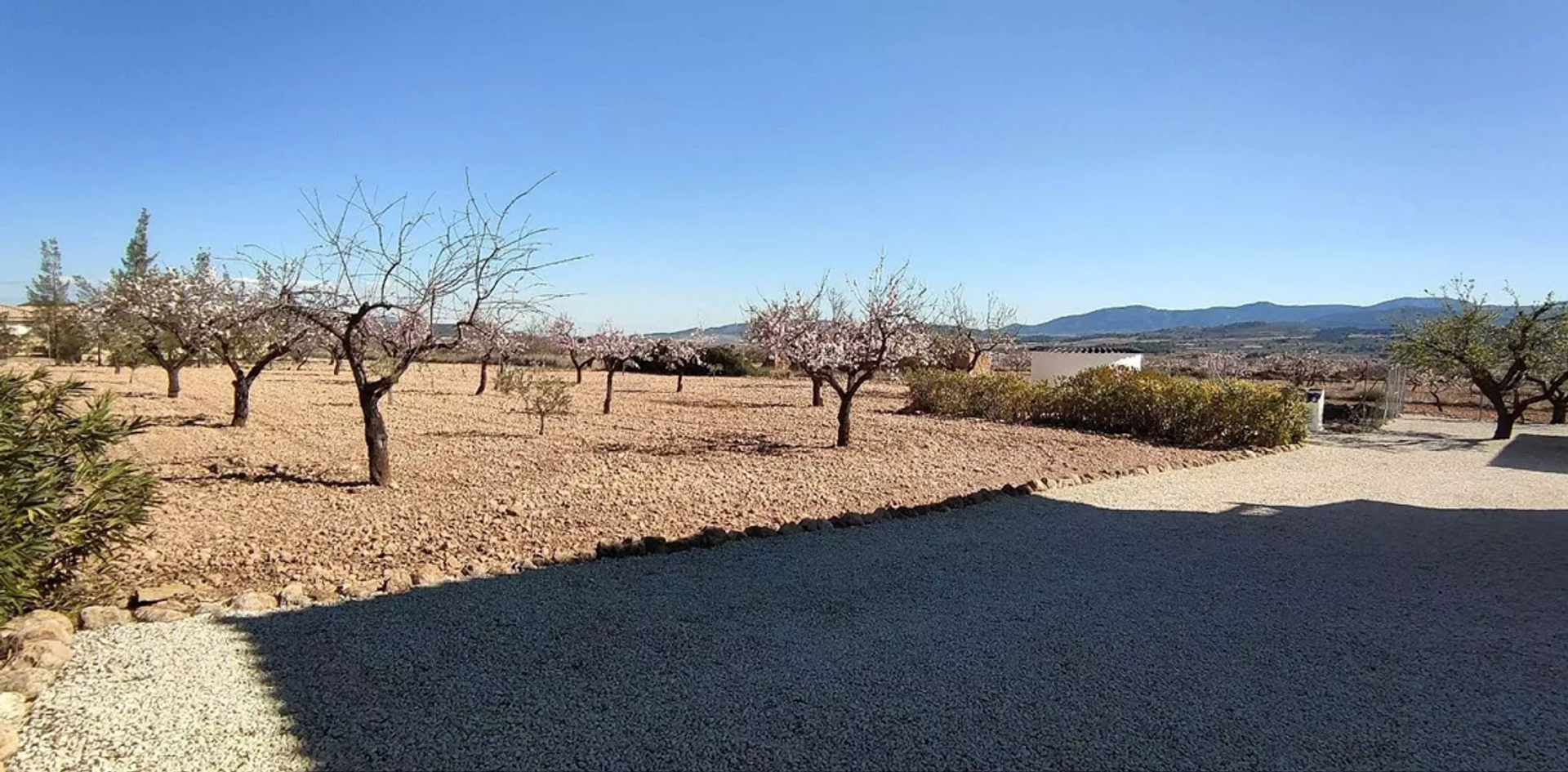 Casa nel Pinoso, Valencian Community 11830316