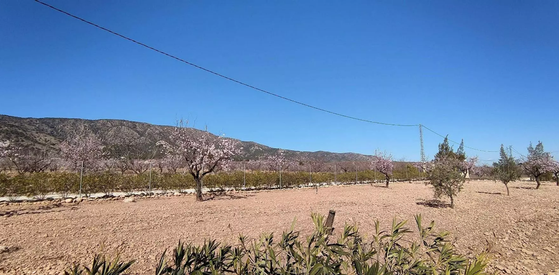 بيت في Pinoso, Valencian Community 11830316