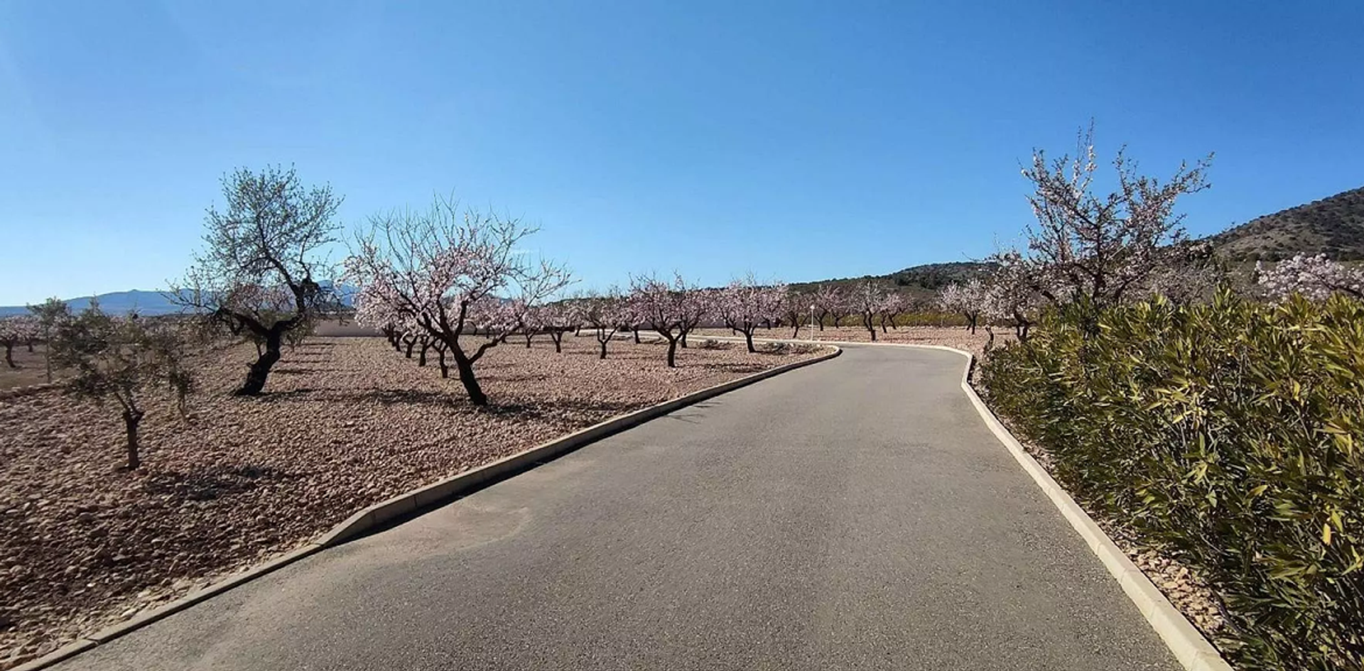 жилой дом в Pinoso, Valencian Community 11830316