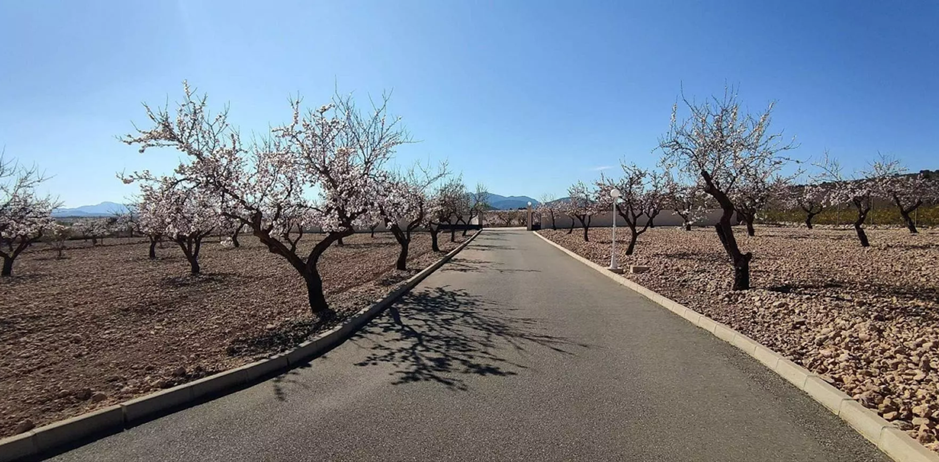 بيت في Pinoso, Valencian Community 11830316