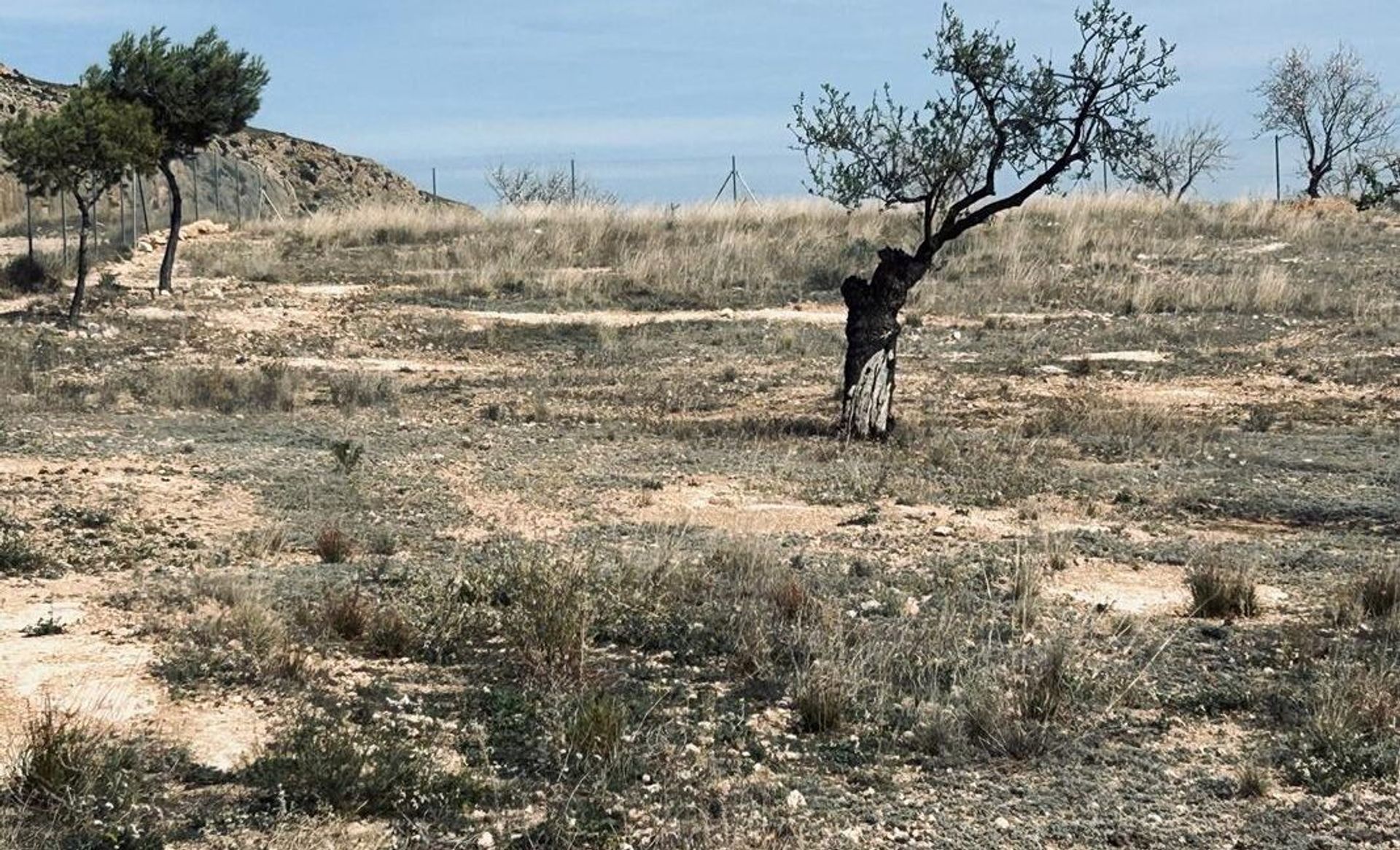 σπίτι σε La Romana, Alicante, Valencian Community 11830323