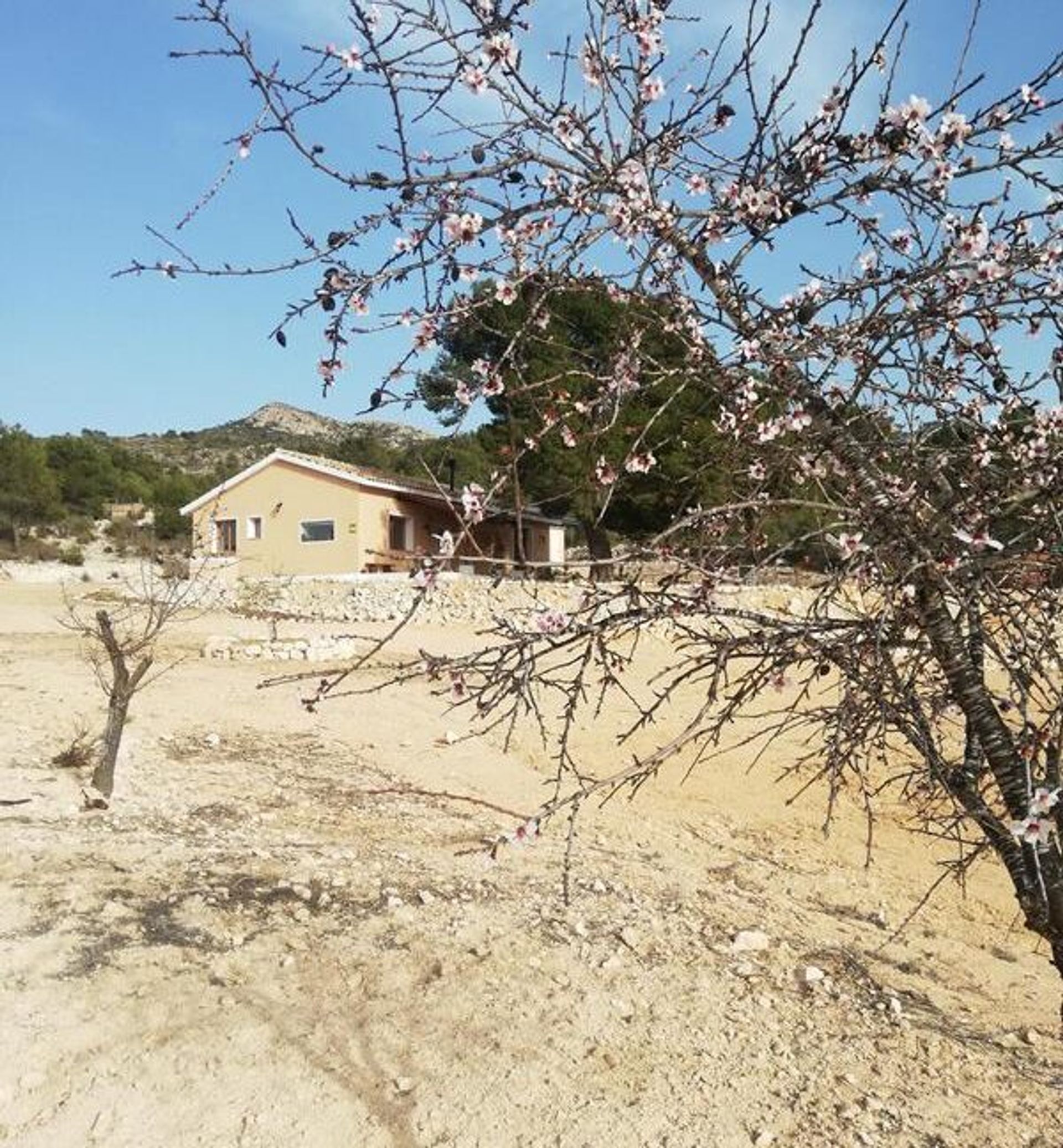 Casa nel Salinas, Asturias 11830340