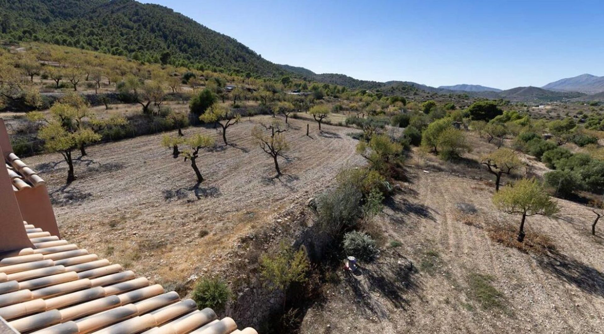 Dom w El Fondó de les Neus, Valencian Community 11830353