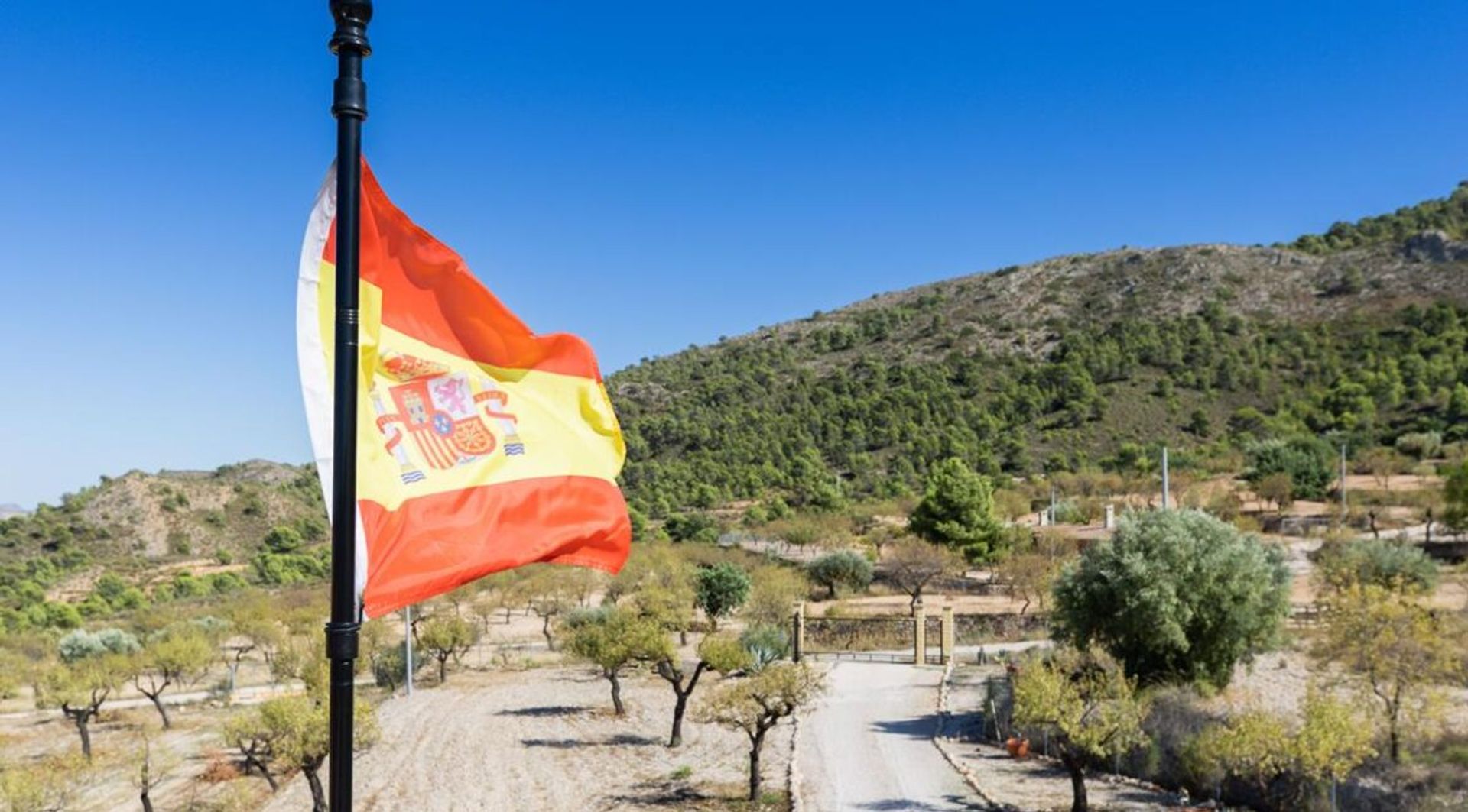 Dom w El Fondó de les Neus, Valencian Community 11830353