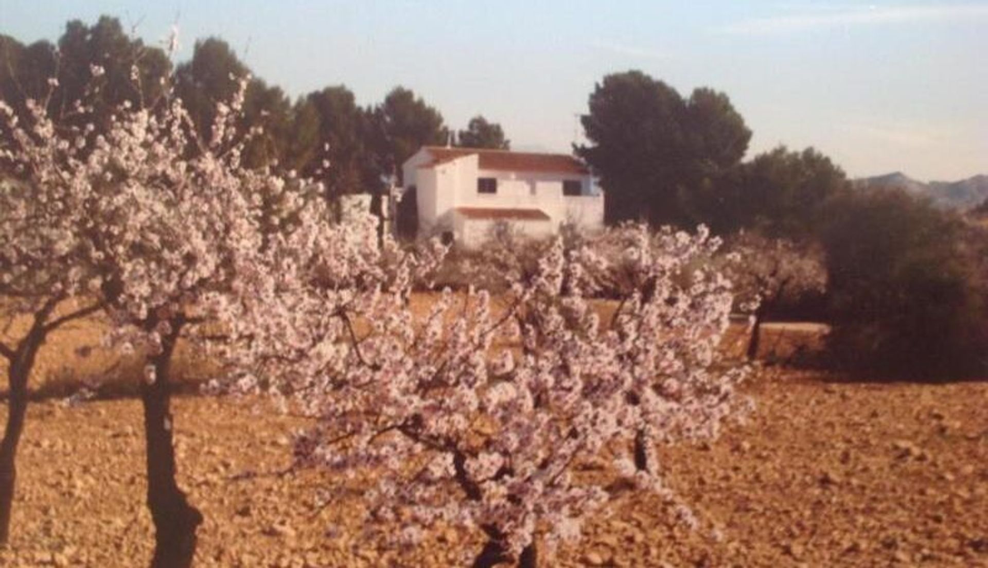 بيت في La Romana, Alicante, Valencian Community 11830361