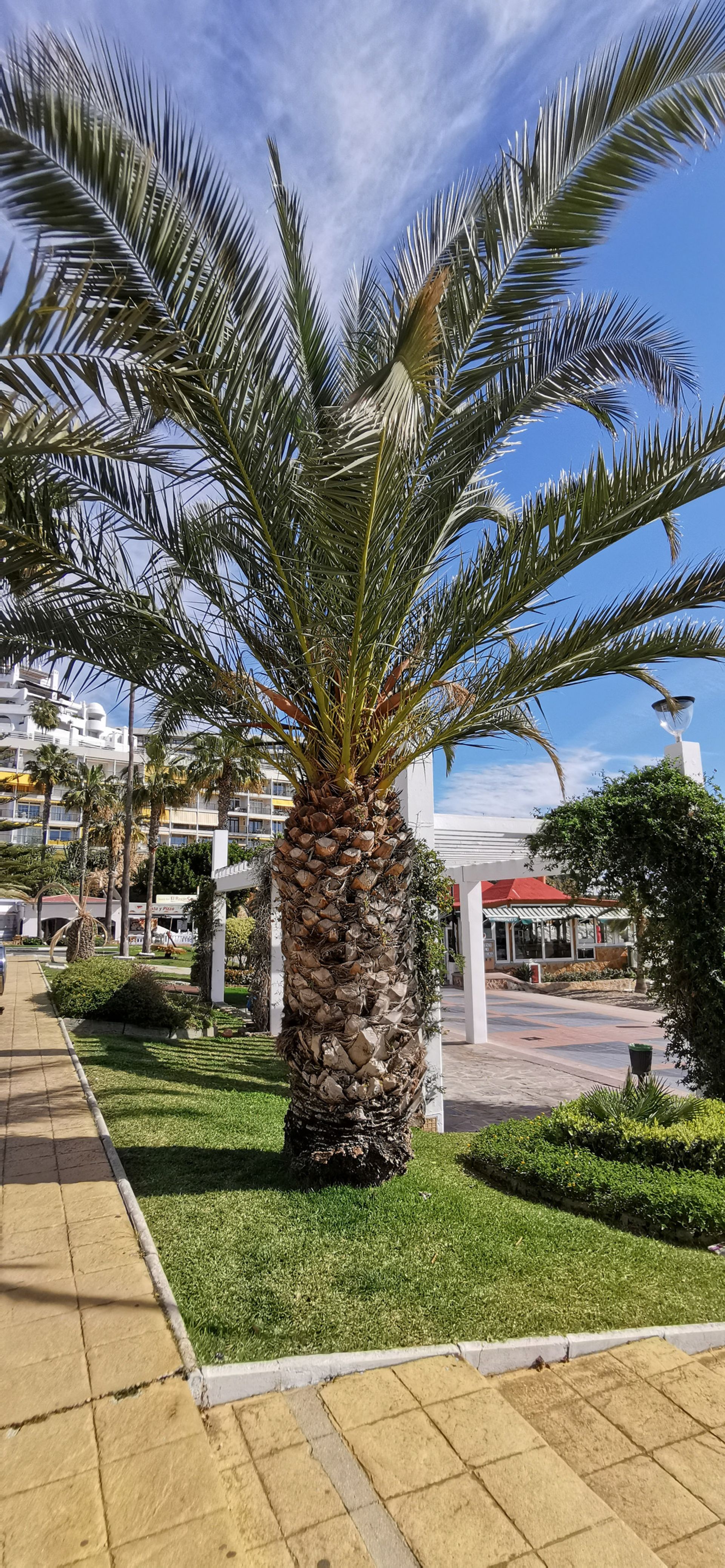 Osakehuoneisto sisään Torremolinos, Andalucía 11830749