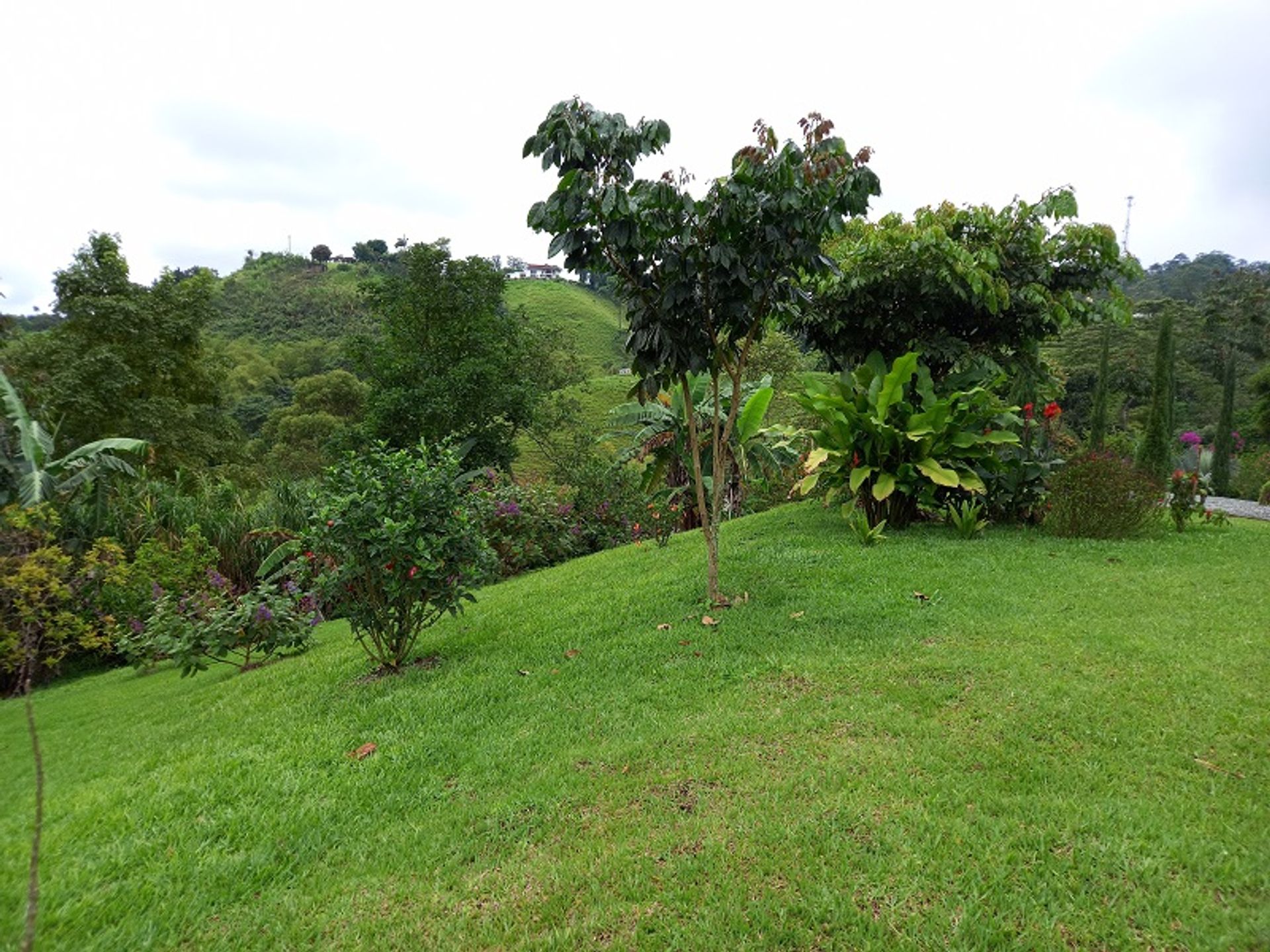 Rumah di , Quindío 11830996