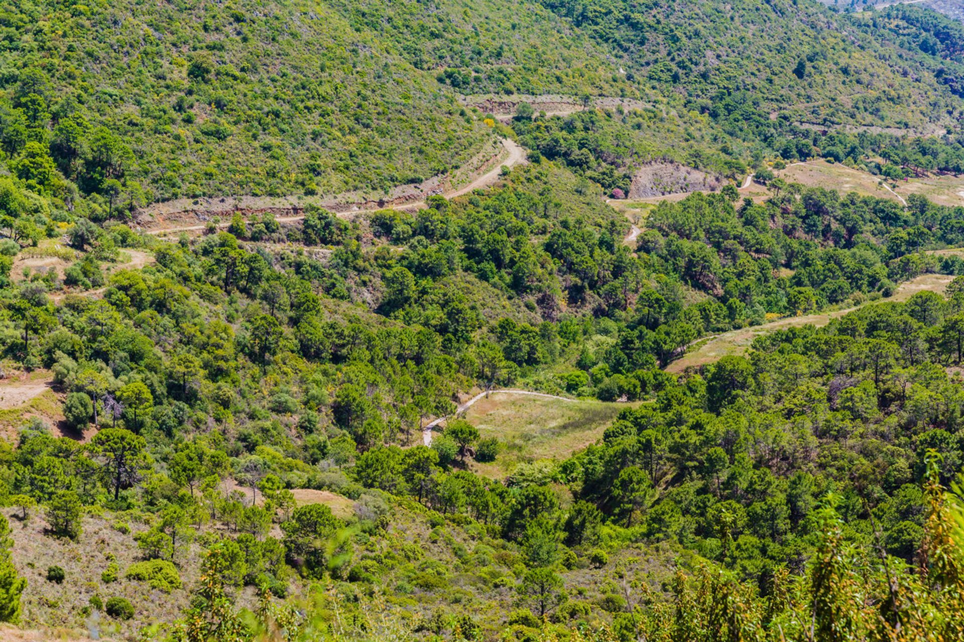 Terre dans Benahavís, Andalusia 11831193