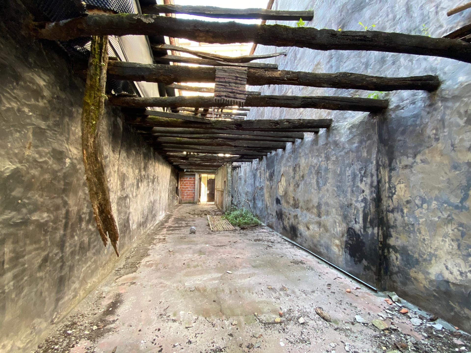 Terre dans Porto, Rua do Conde de Vizela 11832329