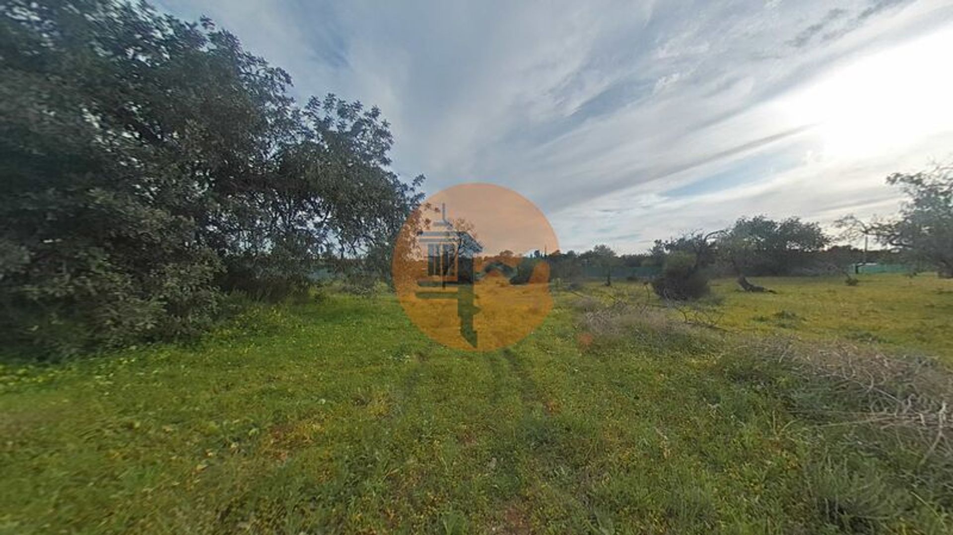 Land in Pechao, Faro 11832383