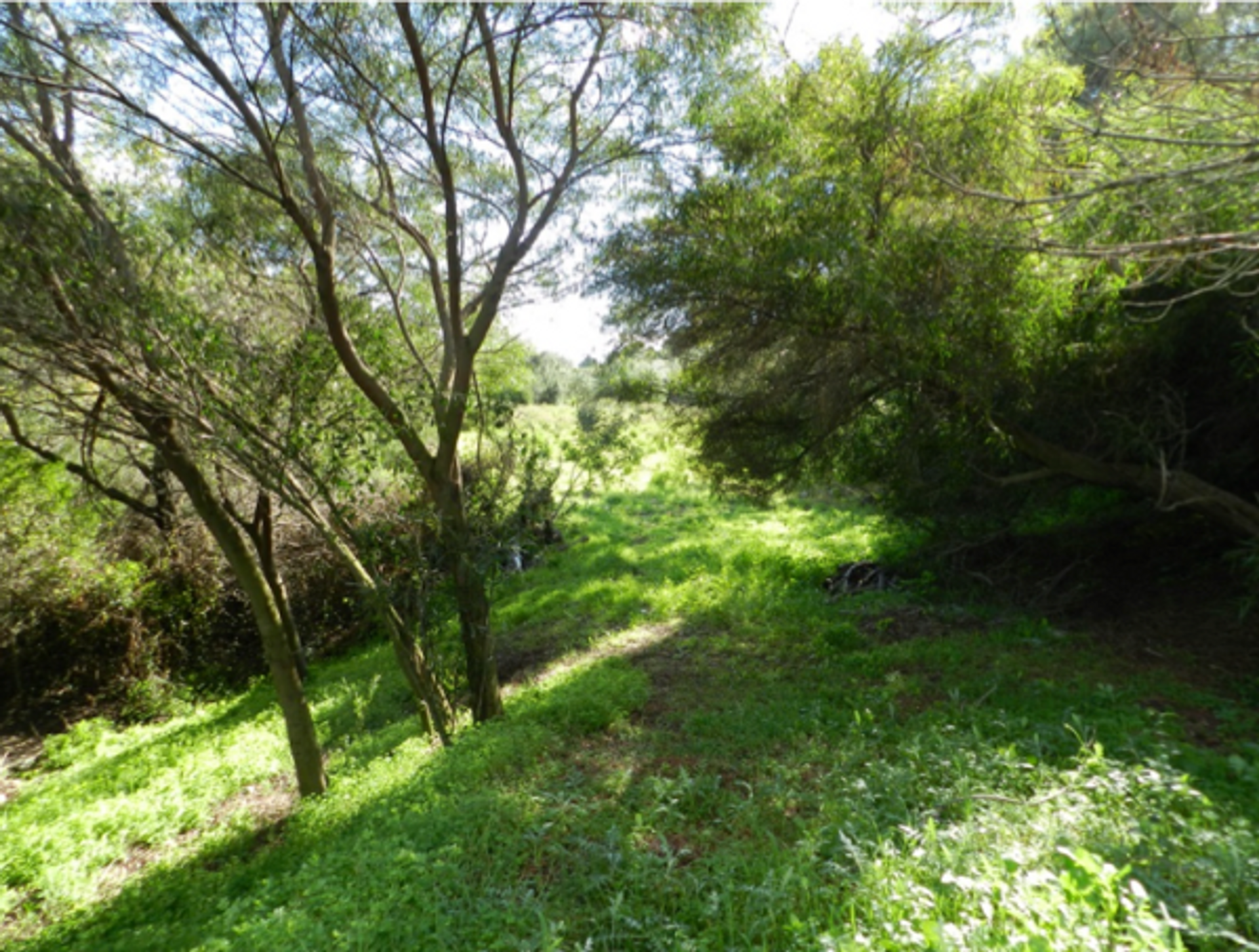 Autre dans Benahavís, Andalusia 11833192