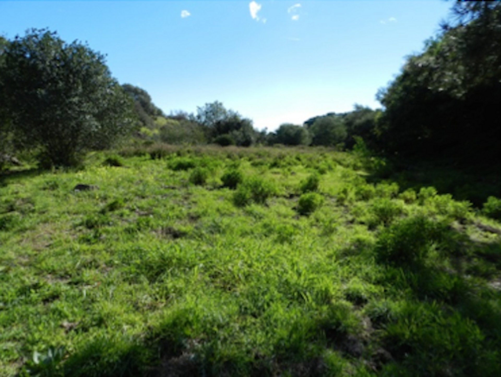 Autre dans Benahavís, Andalusia 11833192