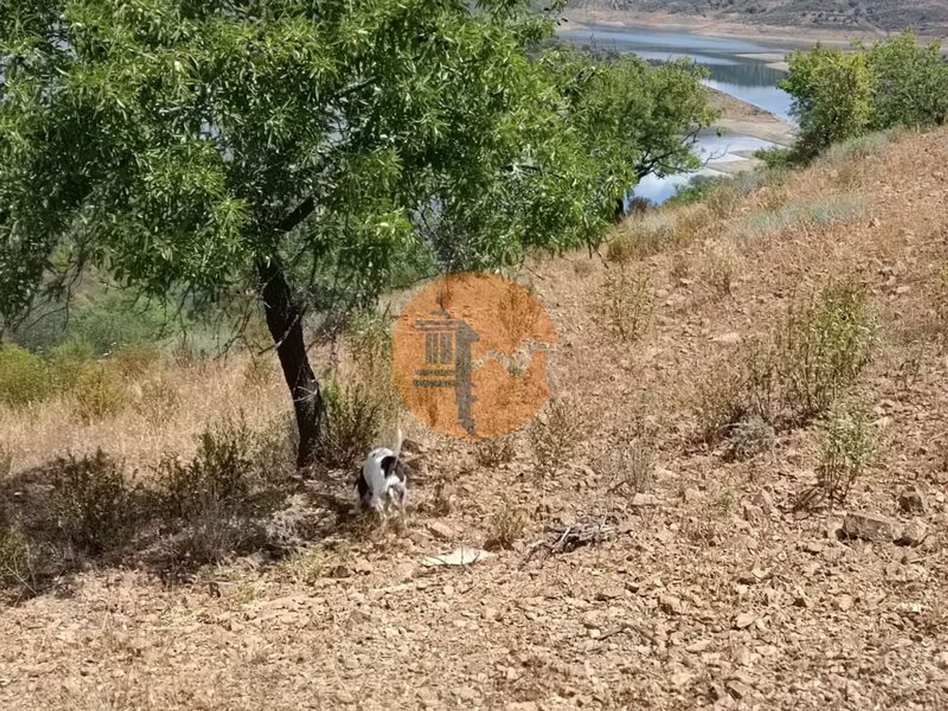 土地 在 奧德萊特, 法魯 11838769