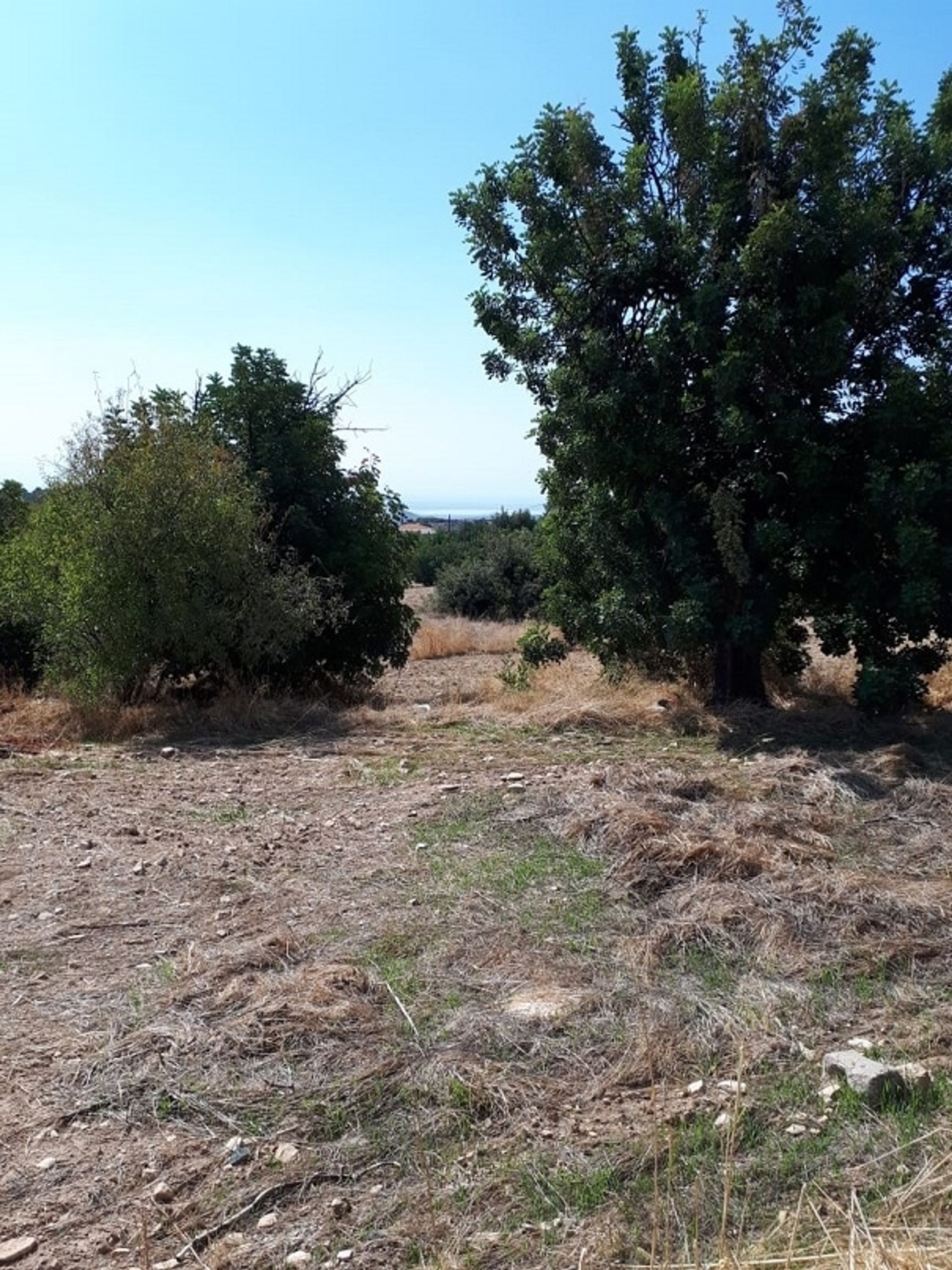 Land i Palodeia, Lemesos 11839128