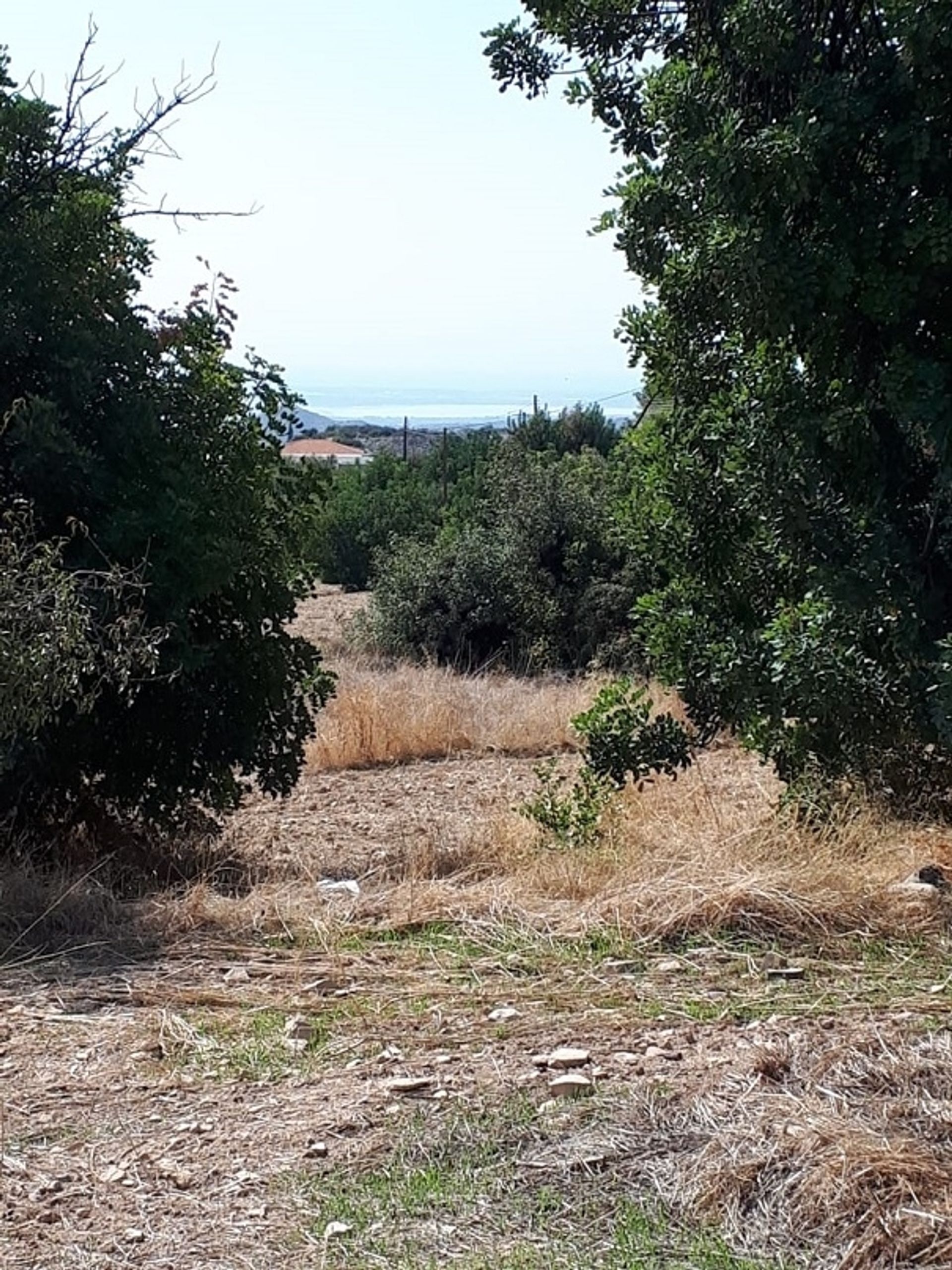 Land im Apesia, Limassol 11839128