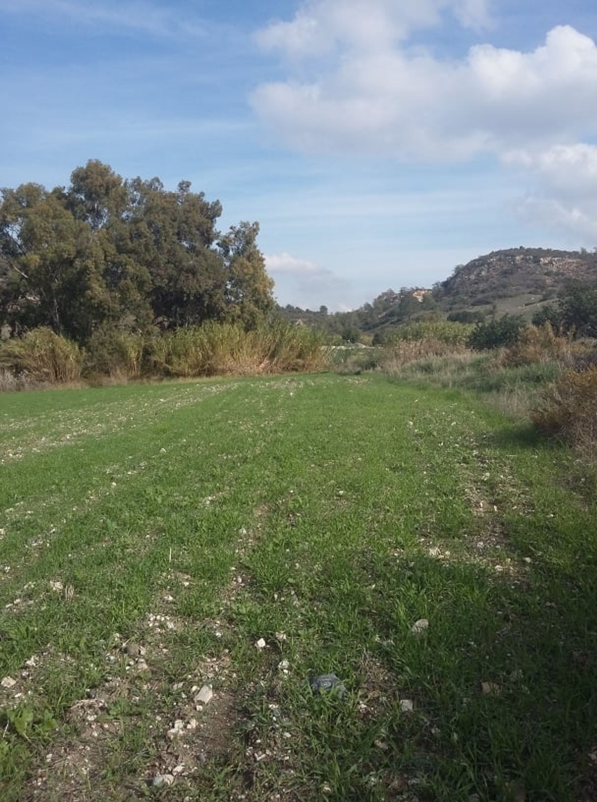 Land in Mouttagiaka, Lemesos 11839139