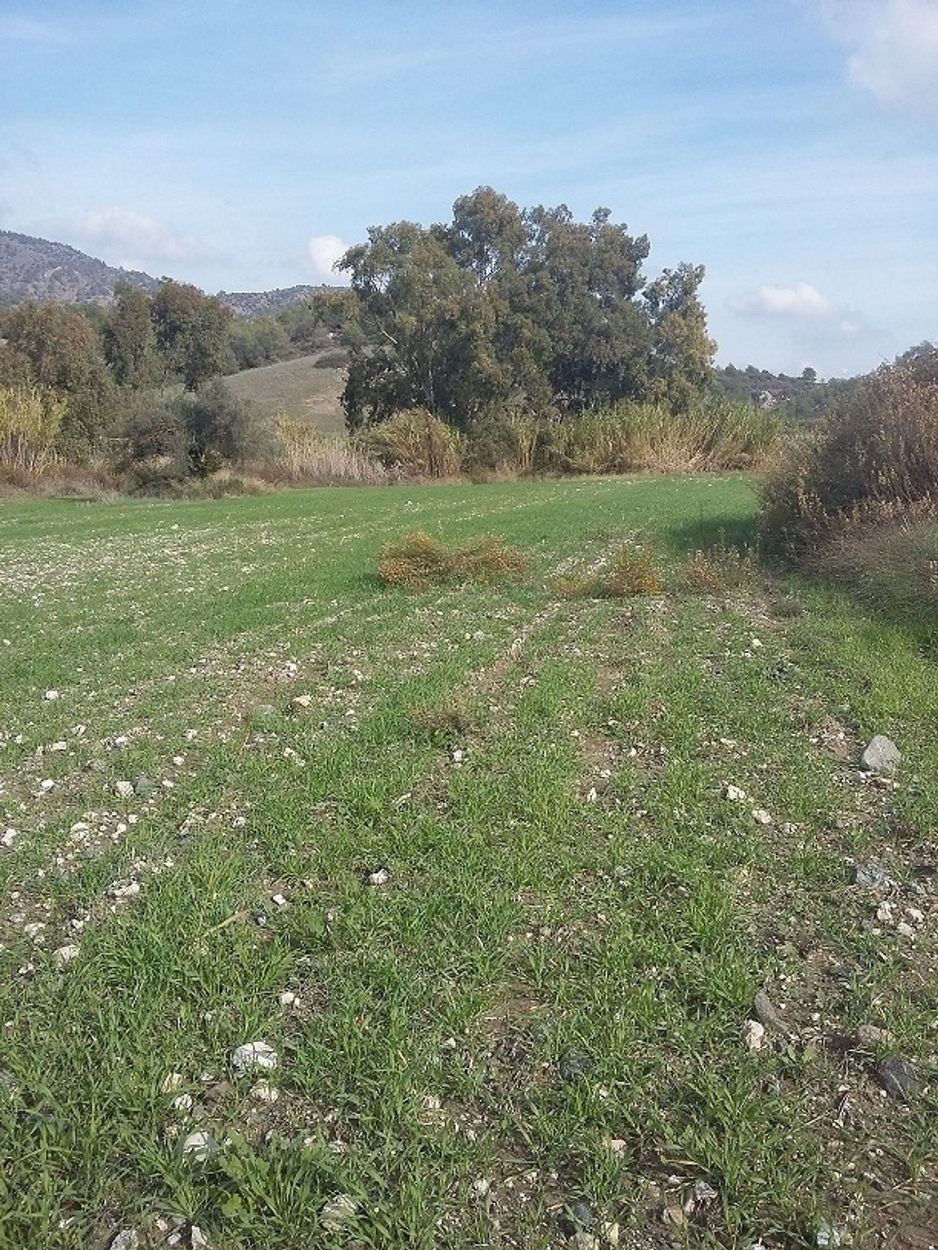 Land i Mouttagiaka, Lemesos 11839139