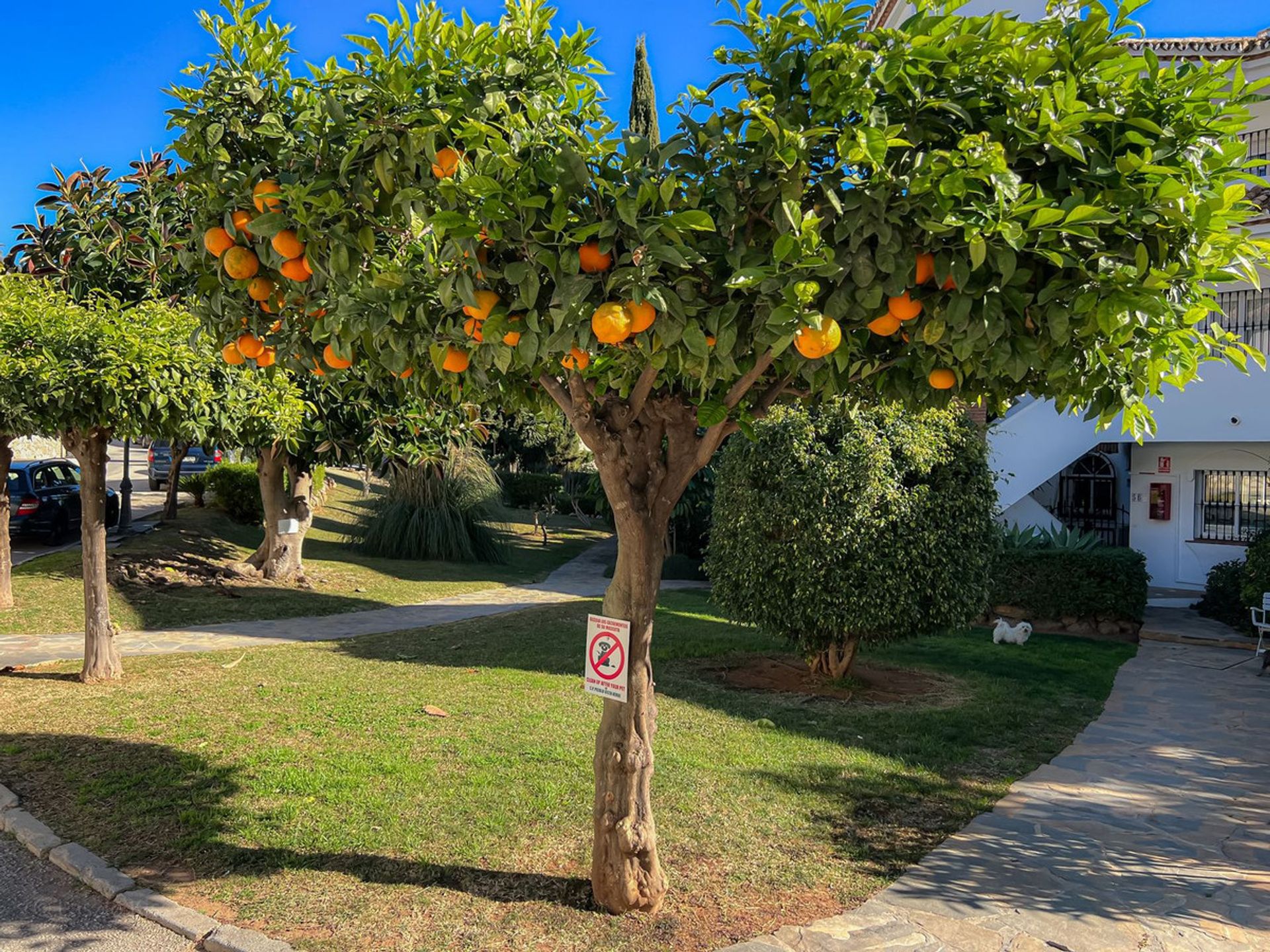 Rumah di Mijas, Andalusia 11840828