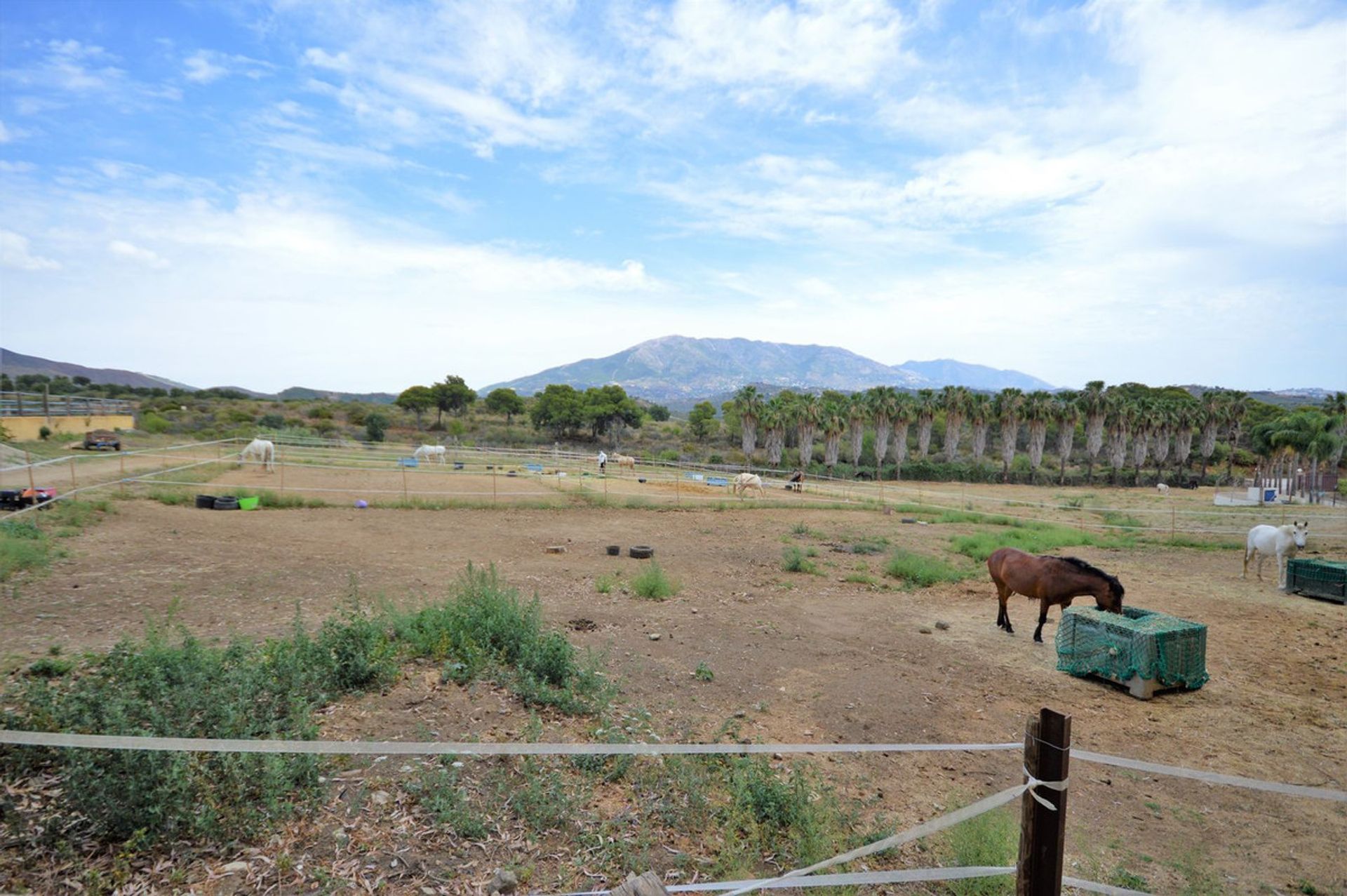 Haus im Mijas, Andalucía 11840865