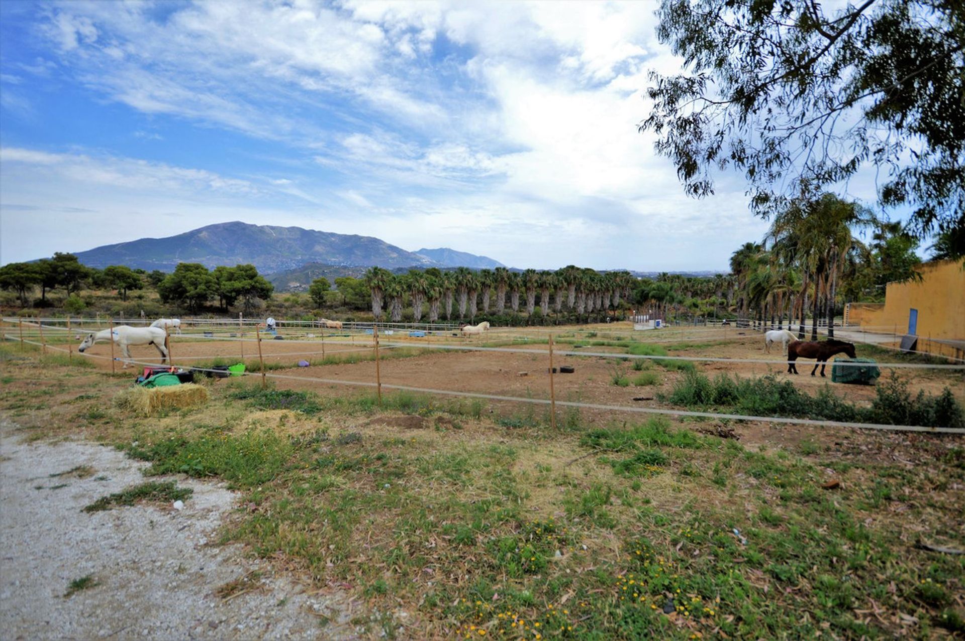 Haus im Mijas, Andalucía 11840865