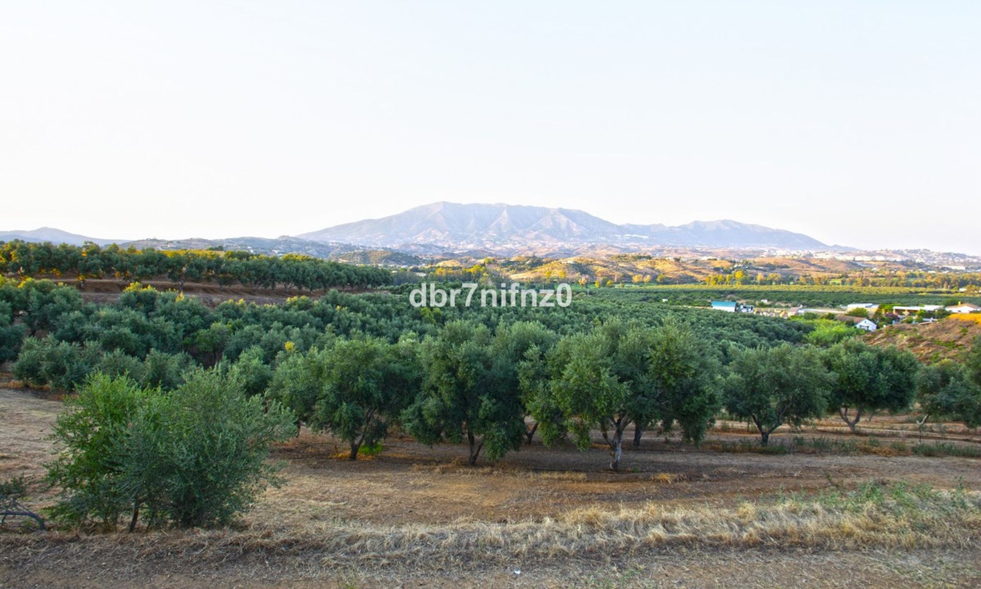 Land in Marbella, Andalusië 11841410