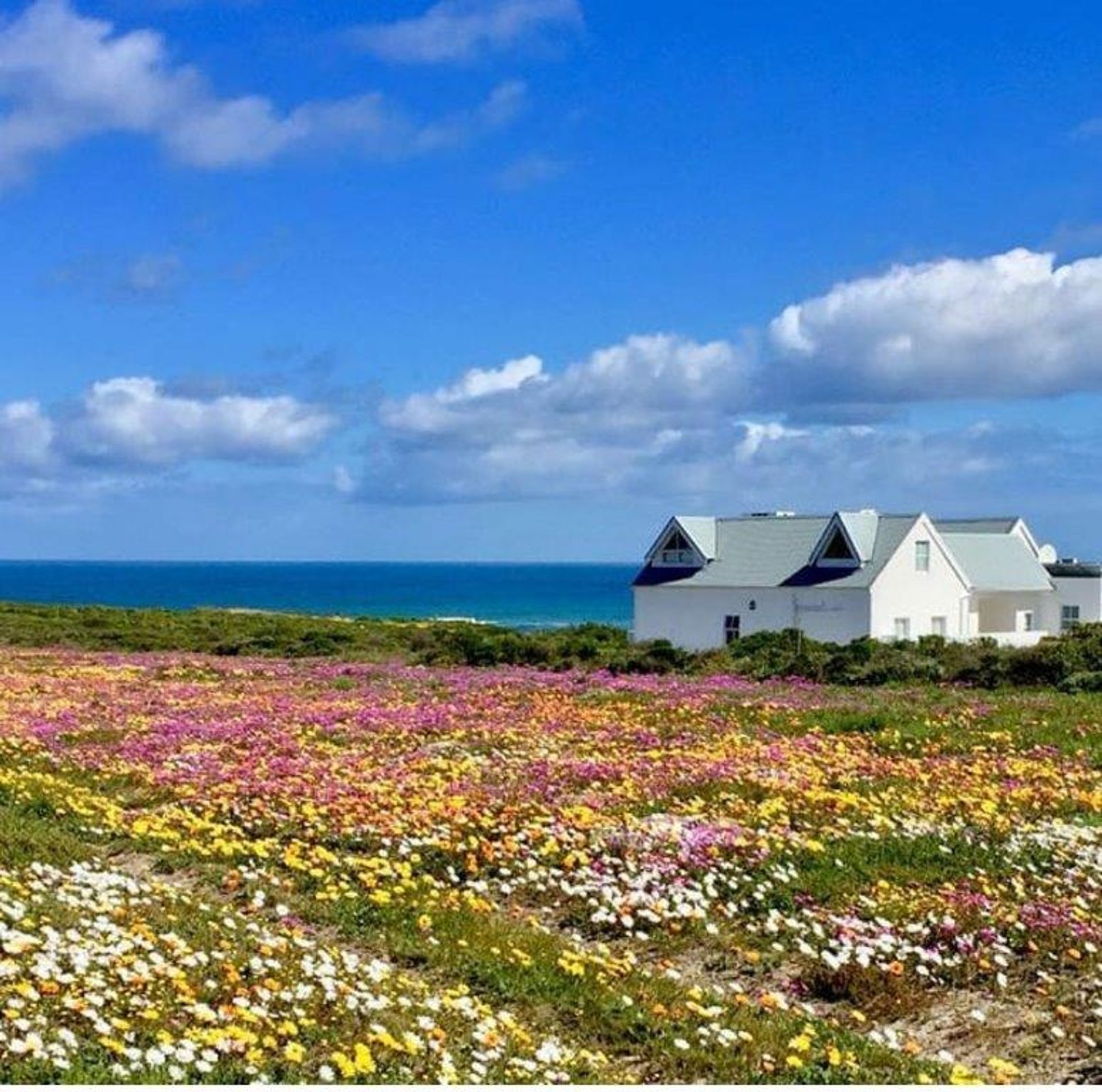 House in Grotto Bay, Western Cape 11841587