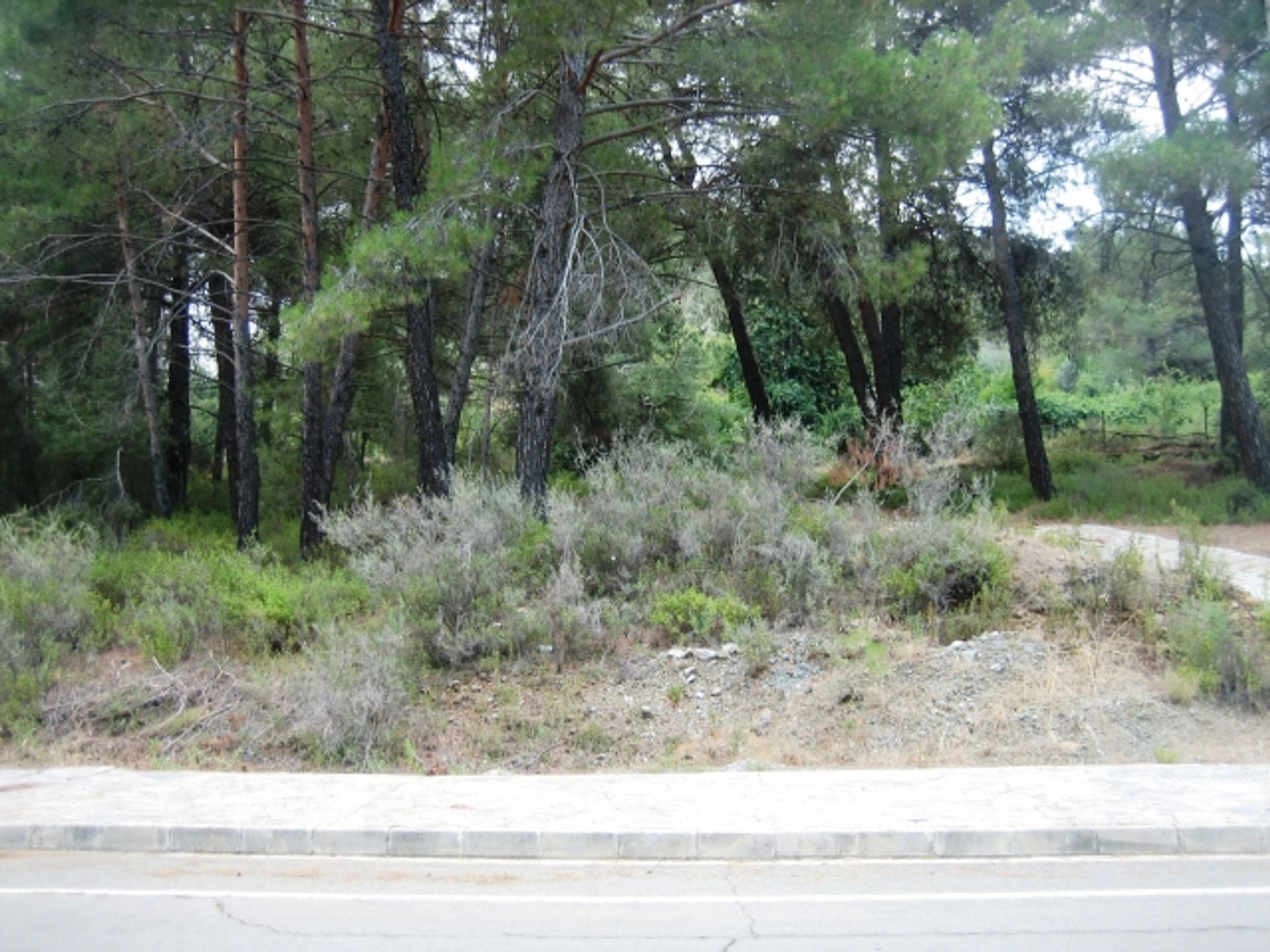 Land in Pano Platres, Limassol 11845050