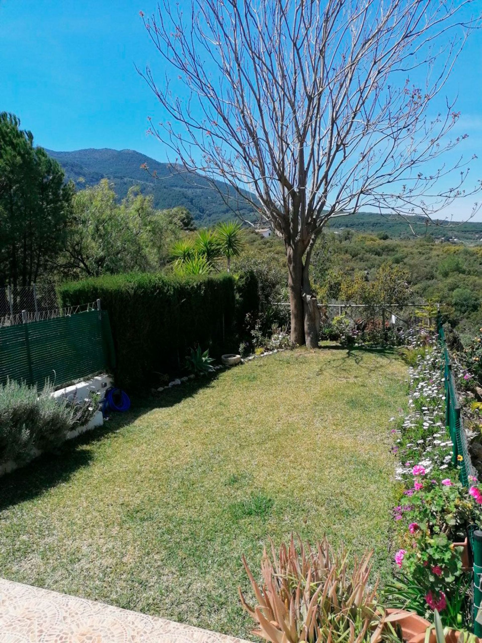 loger dans Alhaurín el Grande, Andalucía 11846418