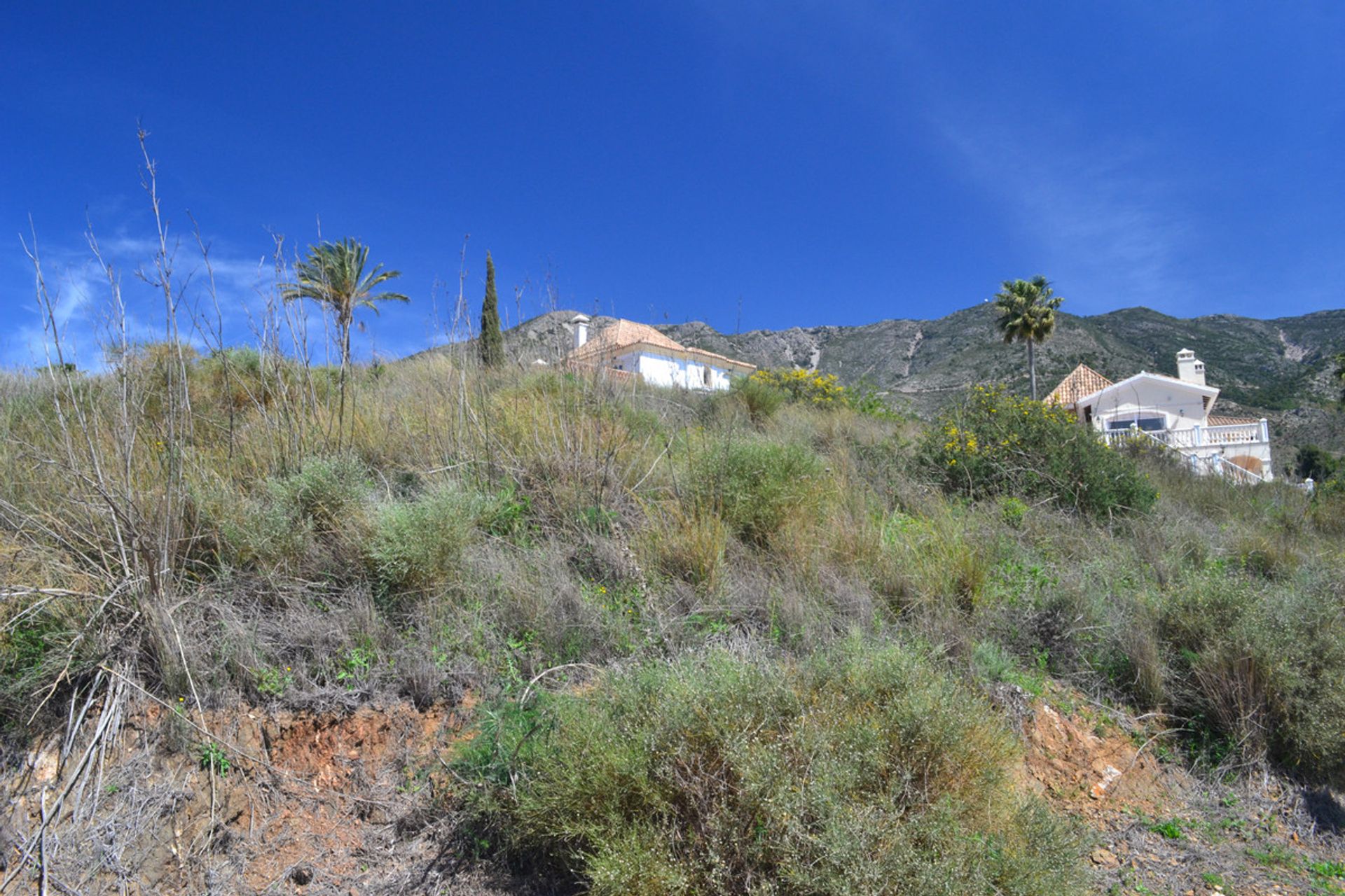 Tierra en Valtocado, Andalusia 11846468