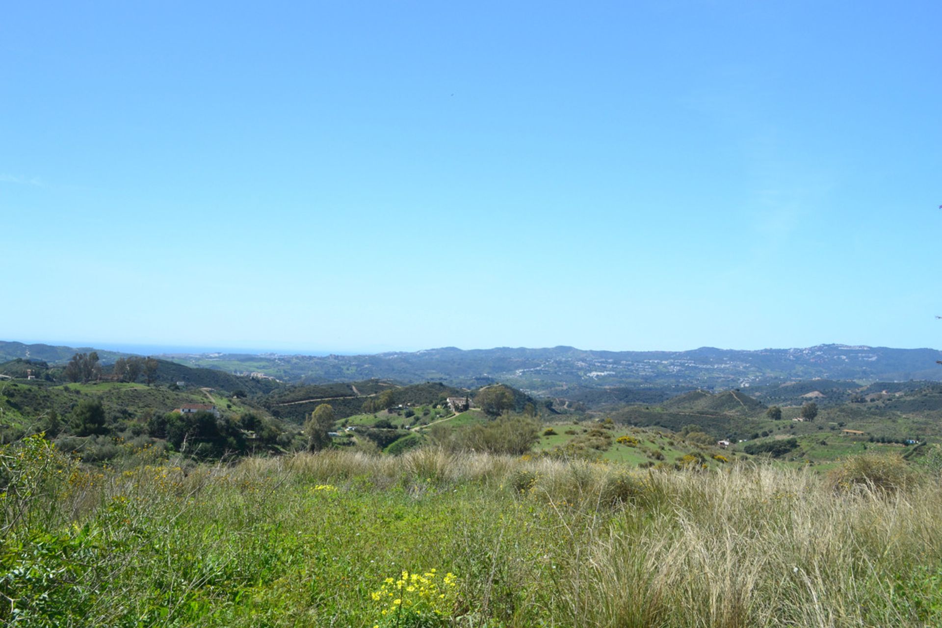 Tierra en Alhaurín el Grande, Andalucía 11846468