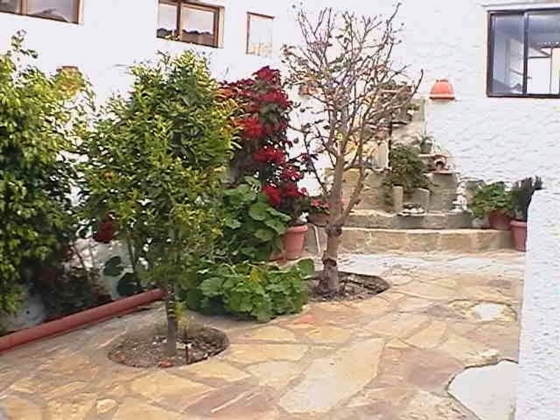 casa en Chloraka, Paphos 11847481