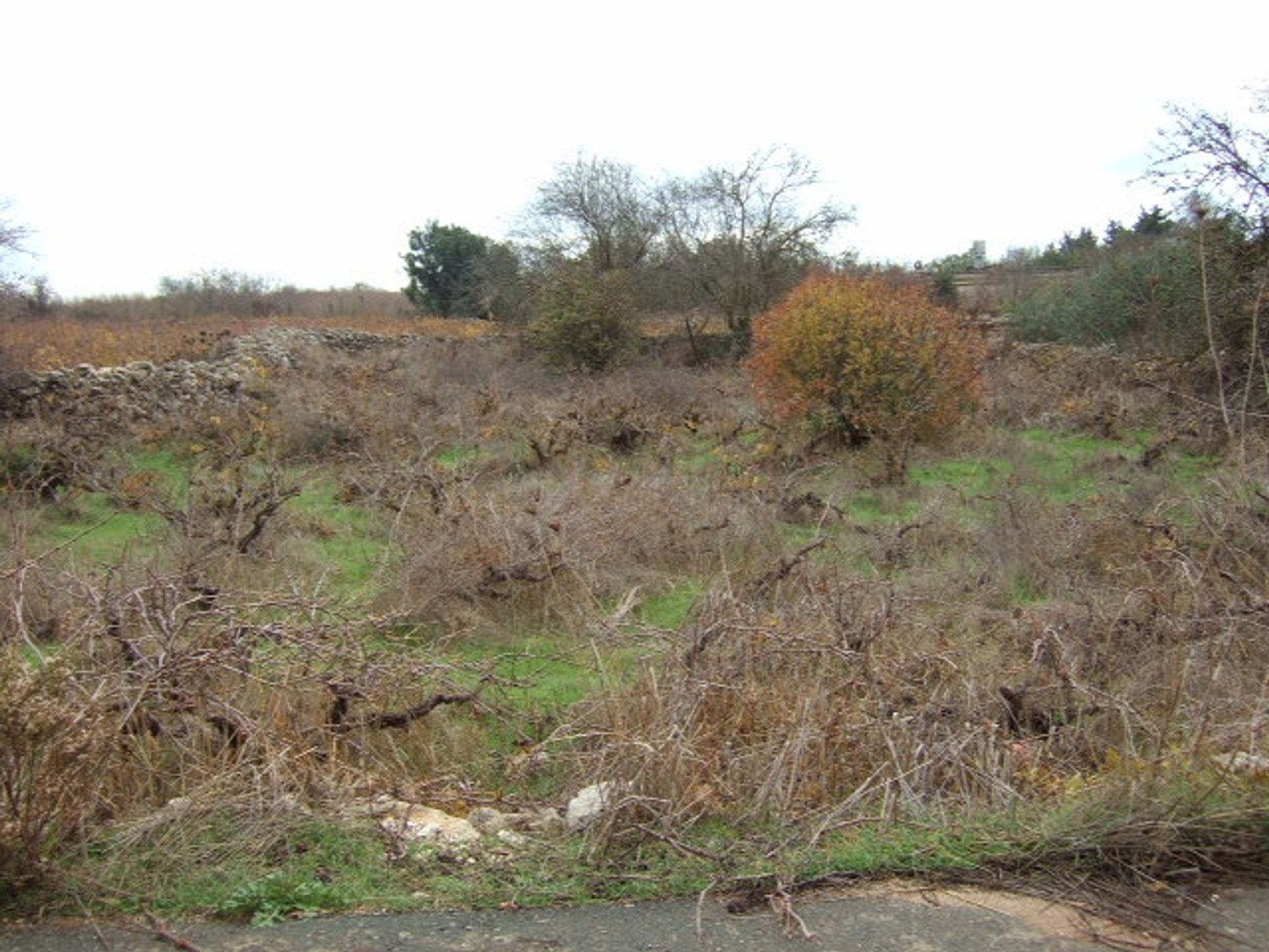 Terre dans Pégée, Paphos 11847492