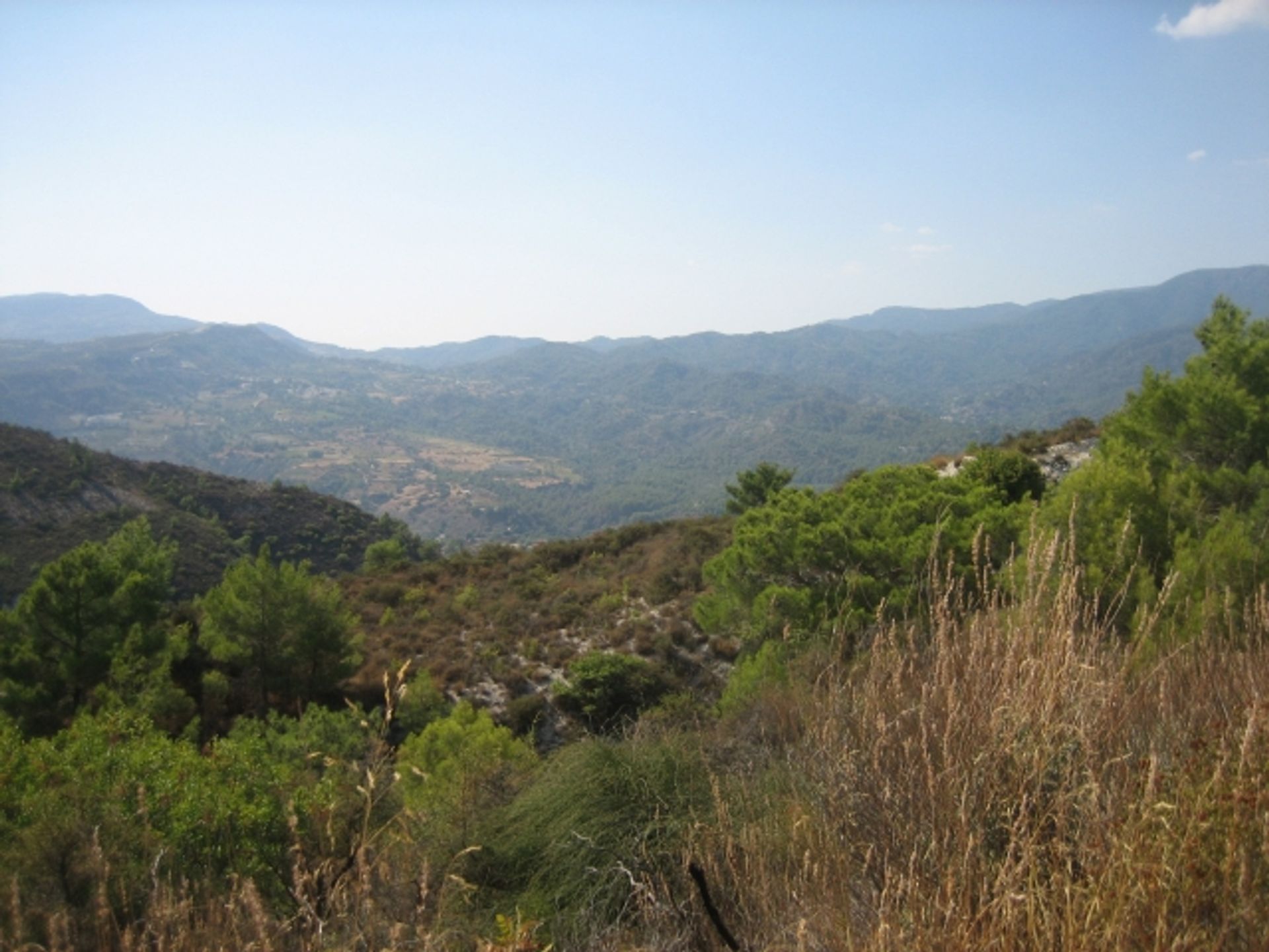 Land in Soularavia, Lemesos 11847534