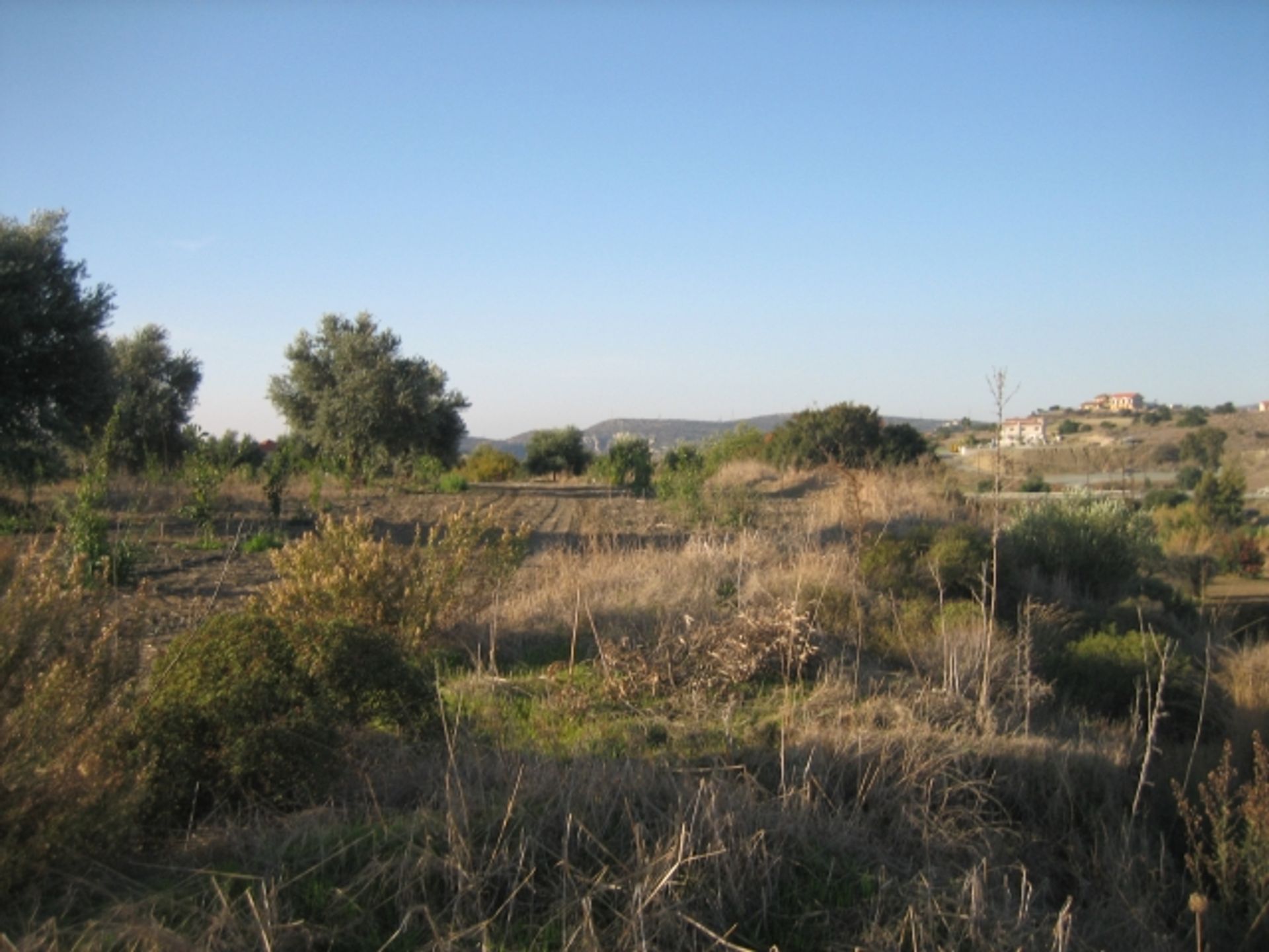 土地 在 Monagroulli, Limassol 11847541