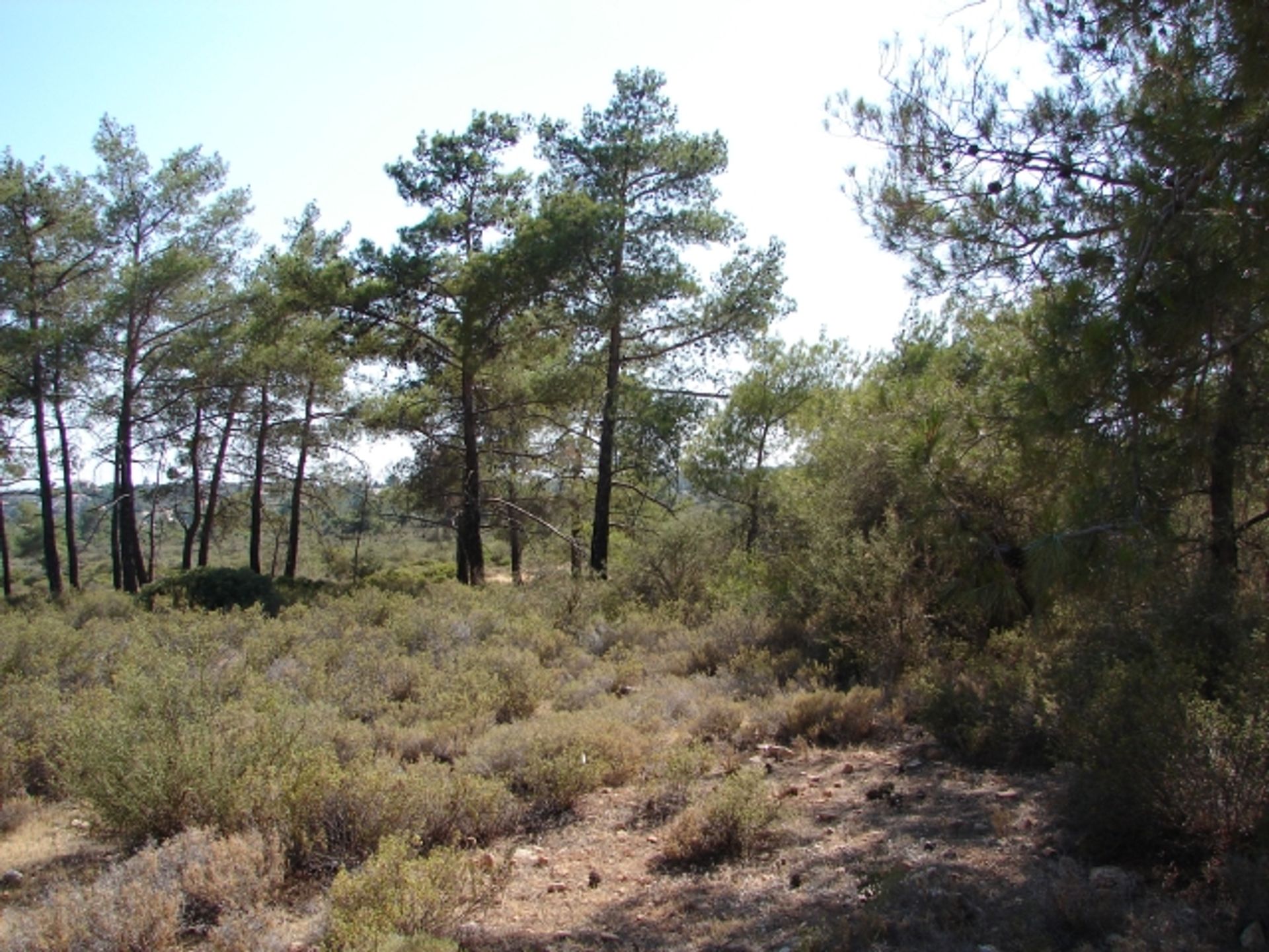 Land in Souni-Zanakia, Limassol 11847562