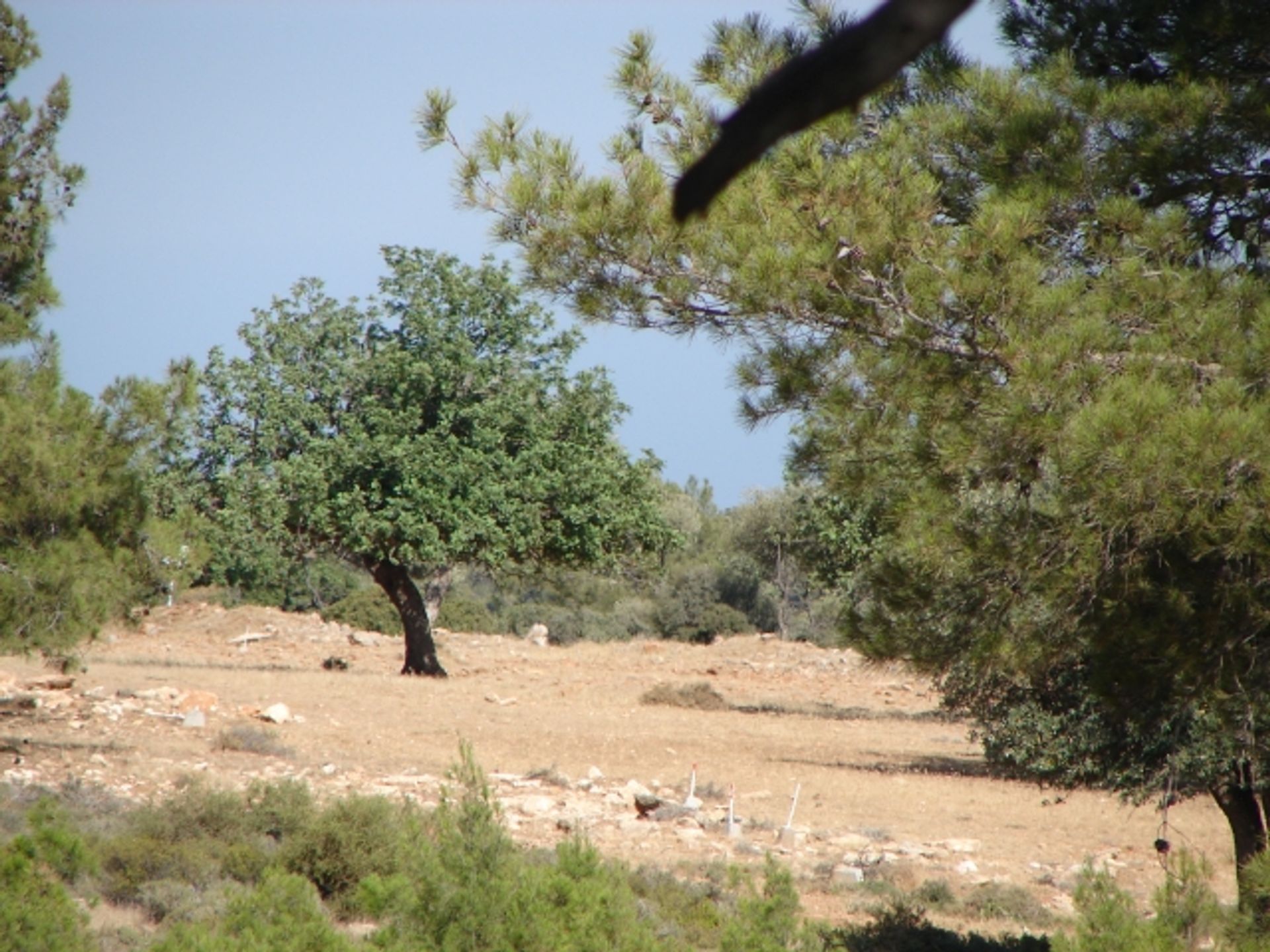 Tanah dalam Souni-Zanakia, Limassol 11847562