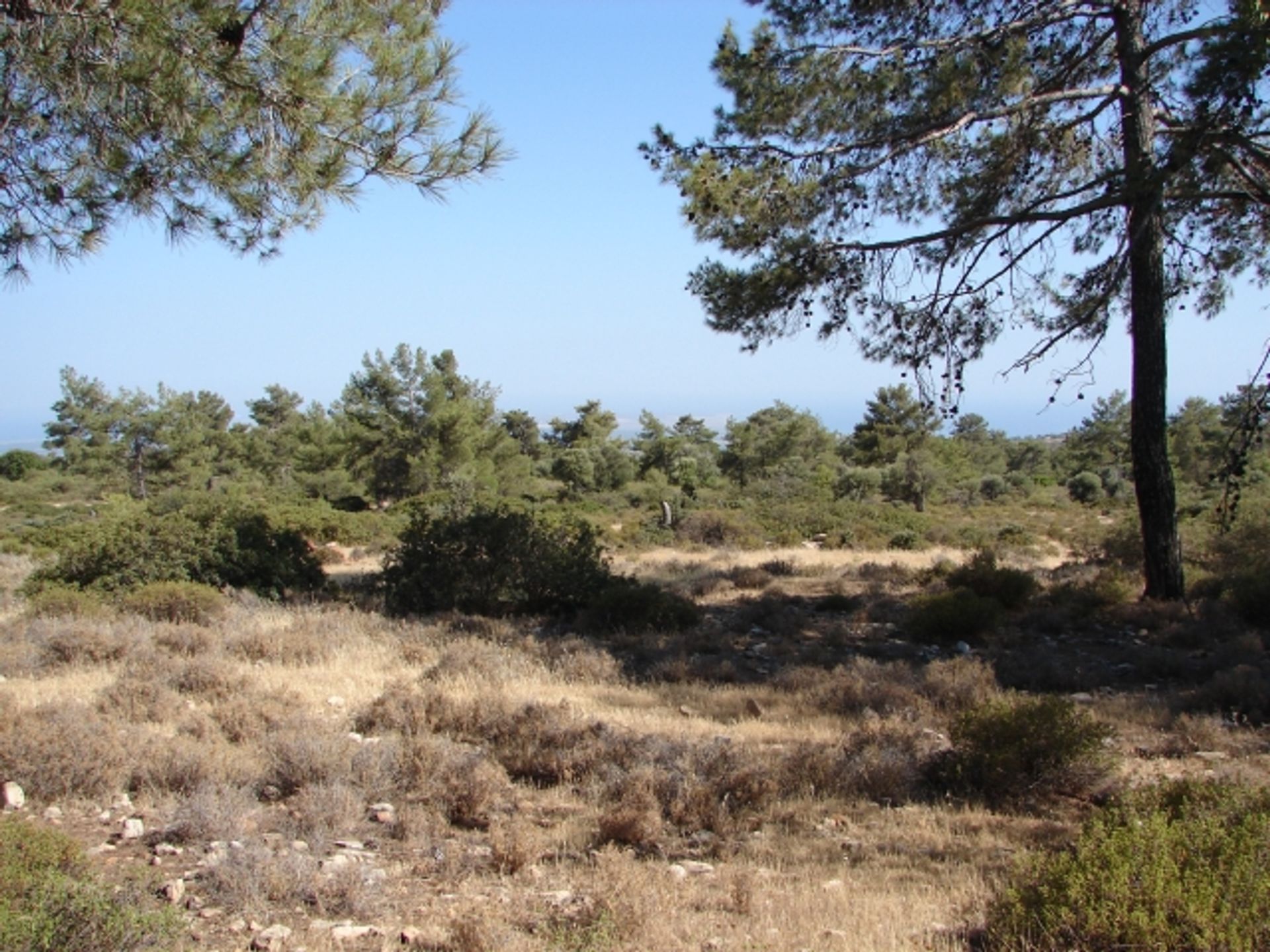 Land i Soularavia, Lemesos 11847562