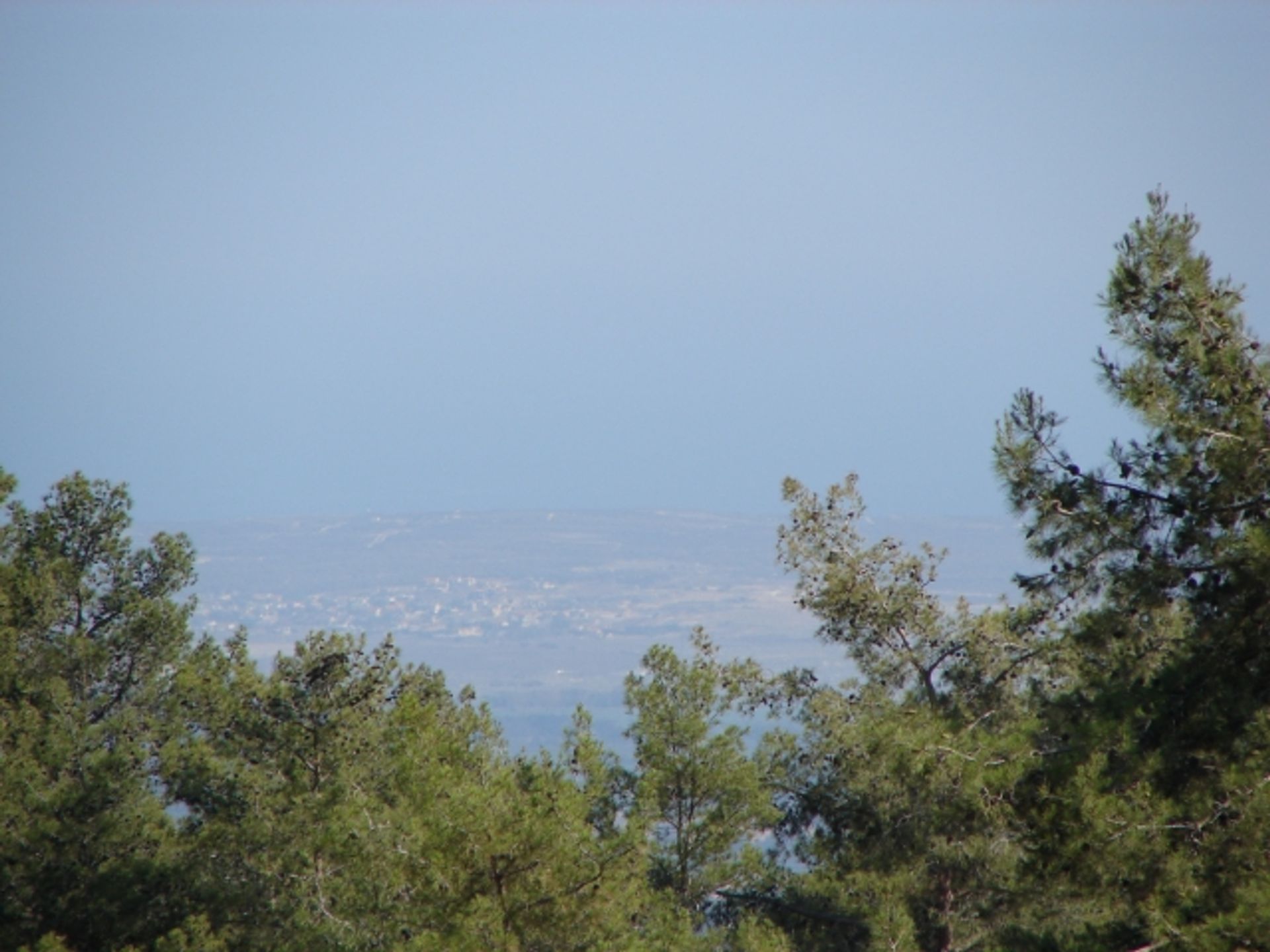 Land in Soularavia, Lemesos 11847562