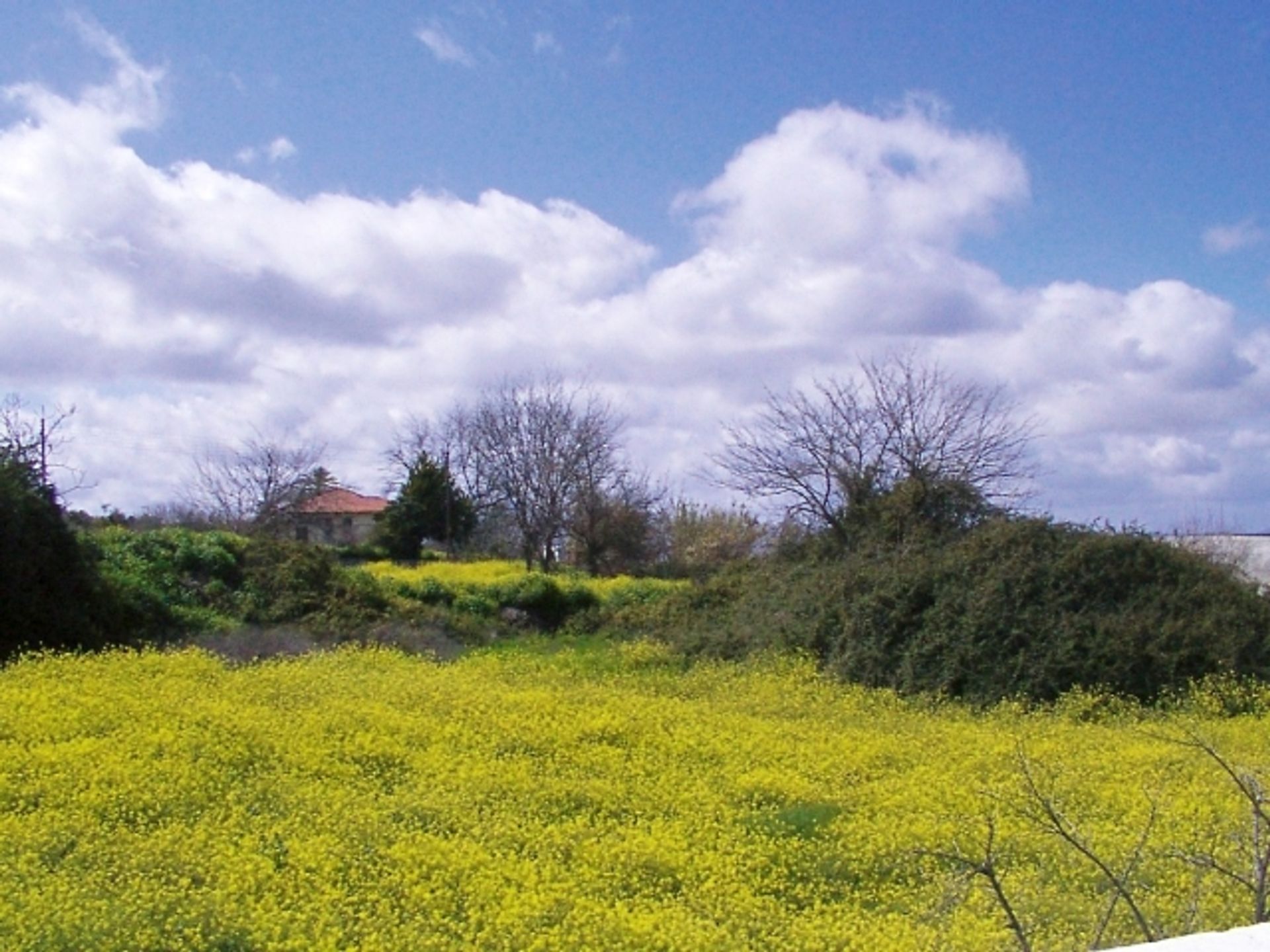 Hus i Lysos, Paphos 11847568