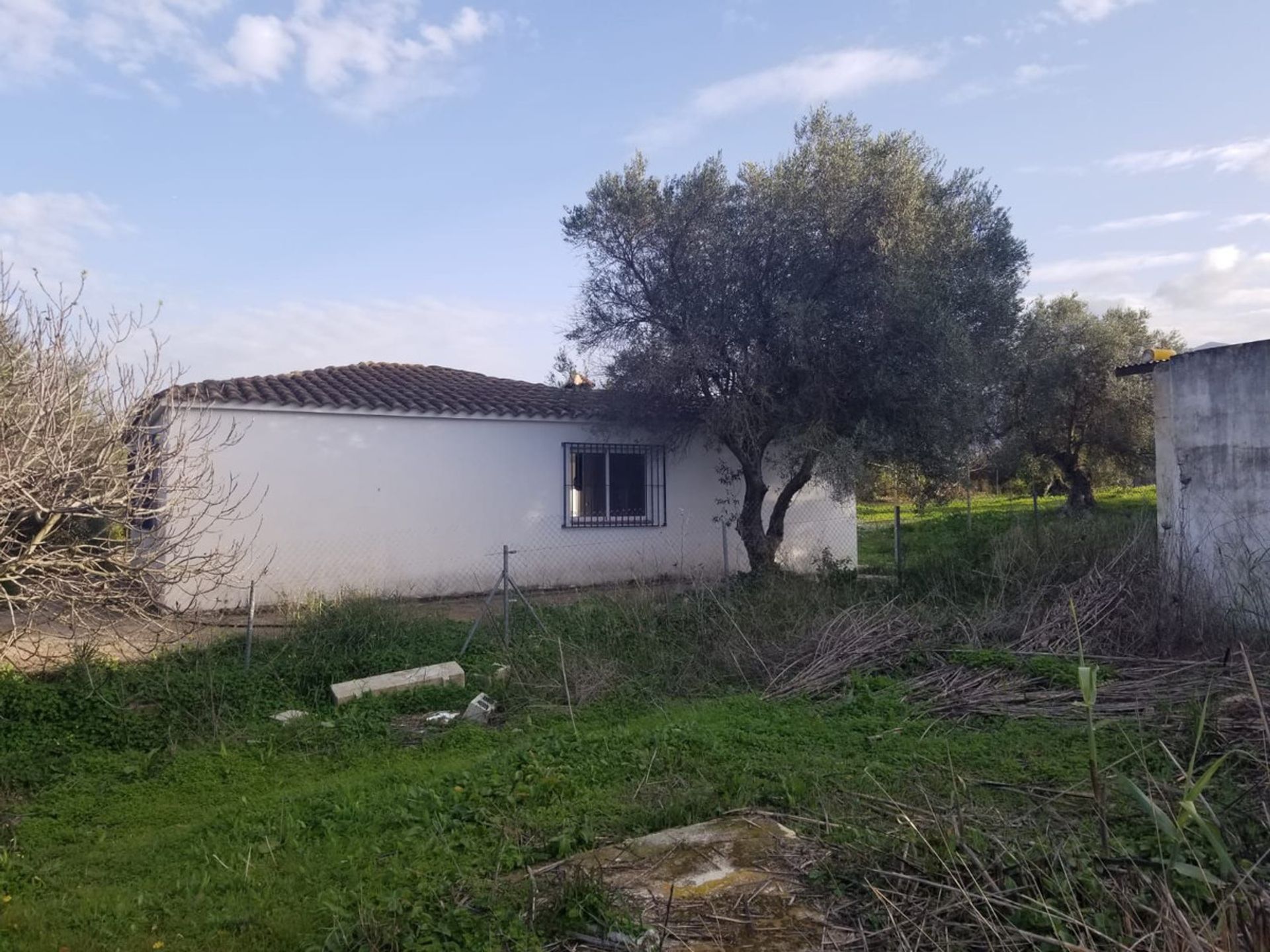 Haus im Alhaurín el Grande, Andalucía 11849072