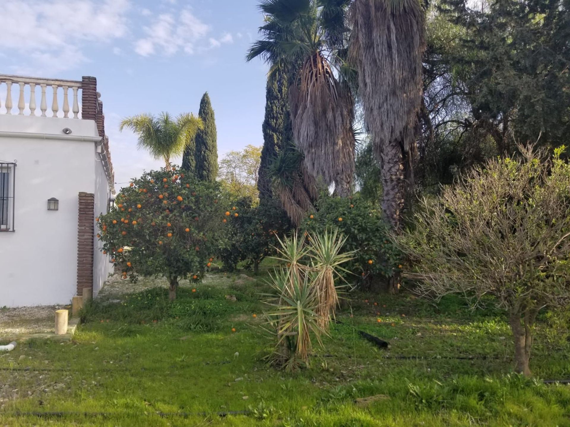 Haus im Alhaurín el Grande, Andalucía 11849072