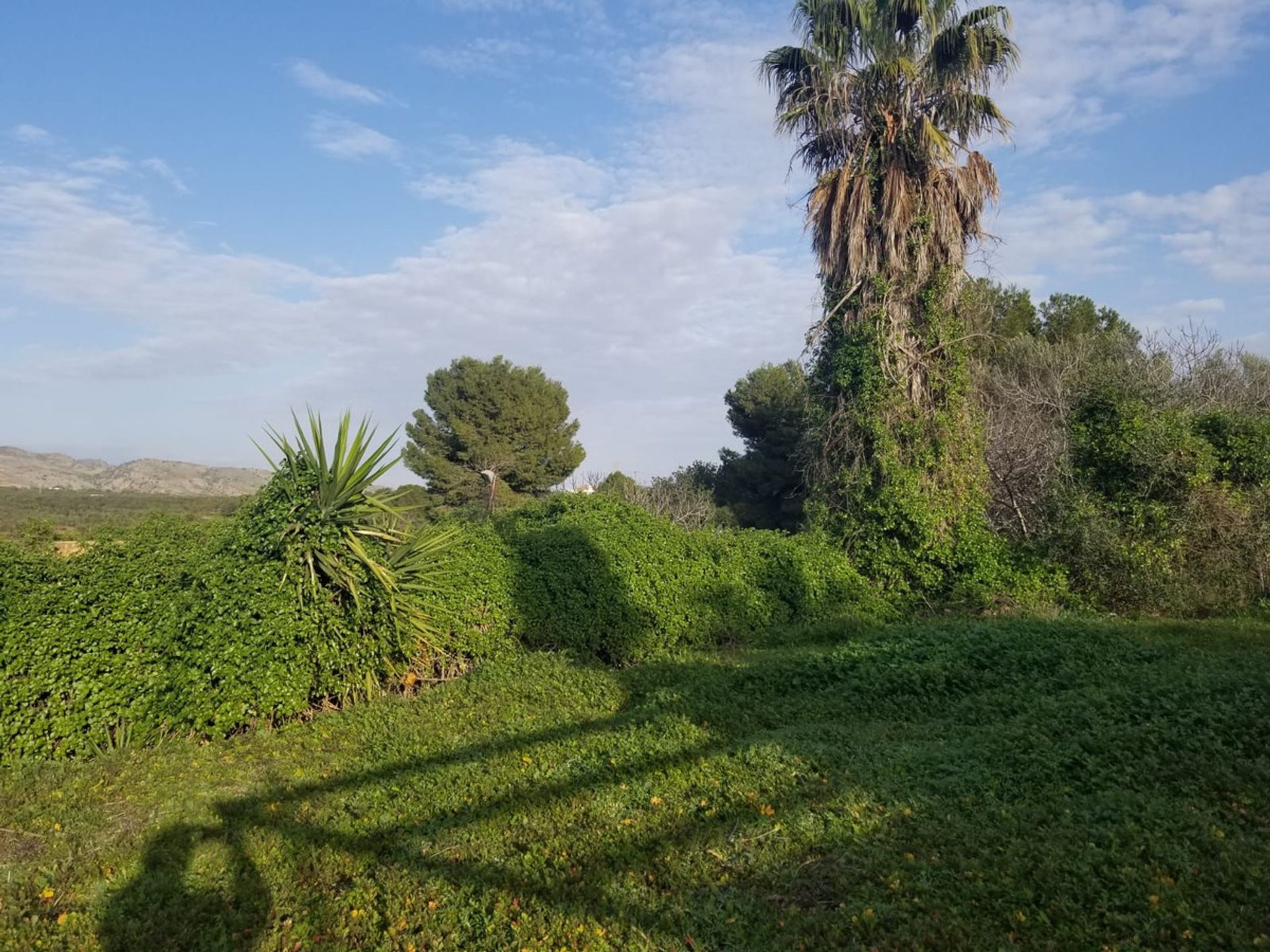 Haus im Alhaurín el Grande, Andalucía 11849072