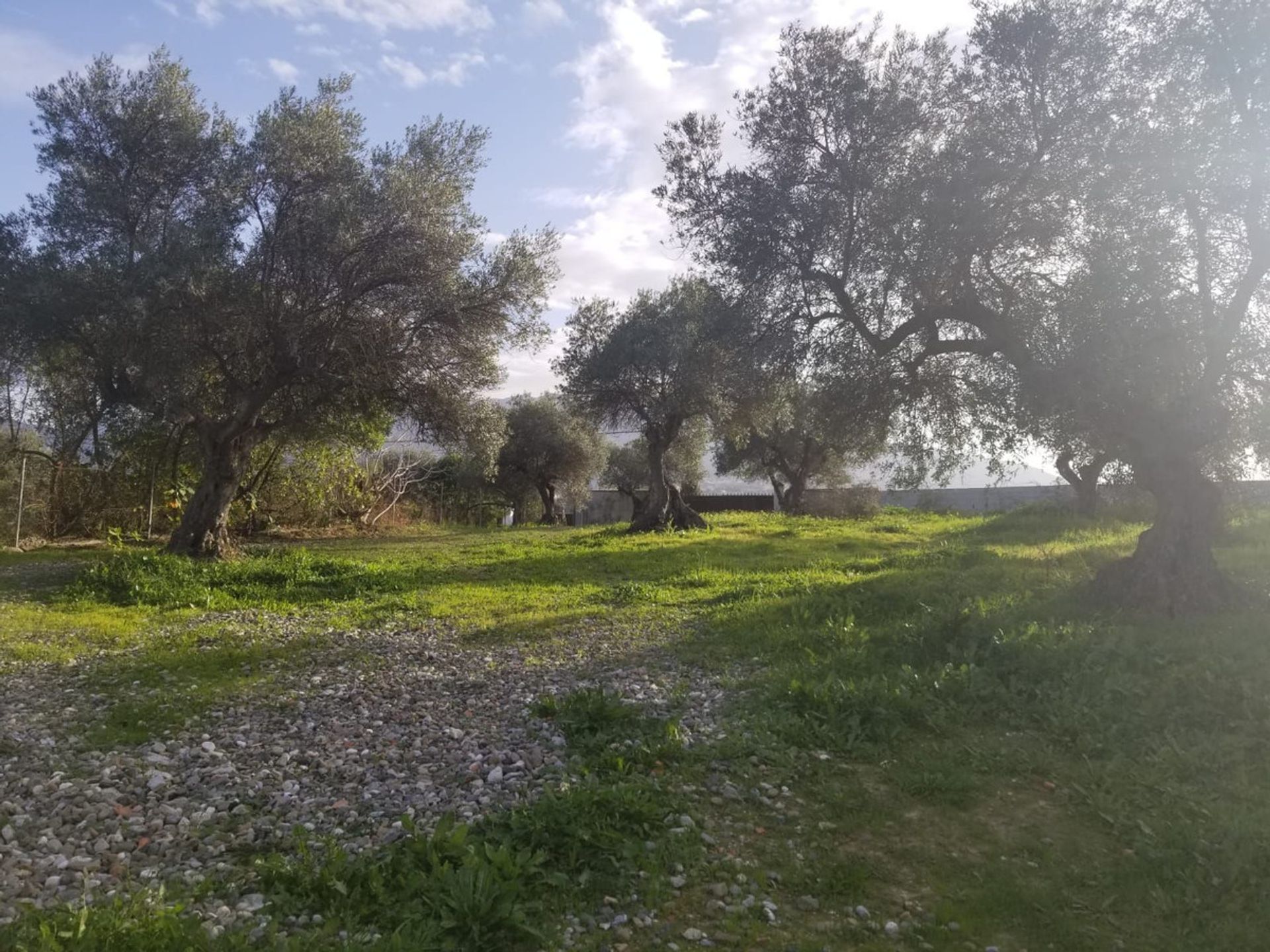 Haus im Alhaurín el Grande, Andalucía 11849072