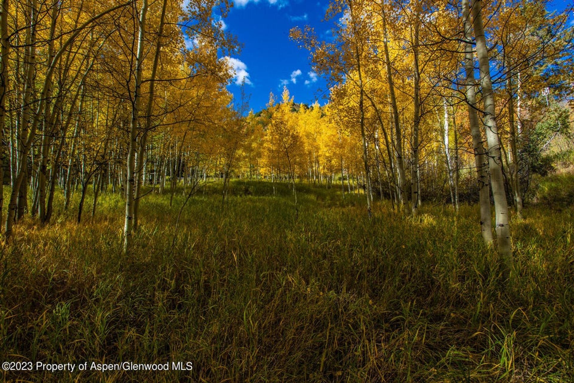 House in New Castle, Colorado 11850430