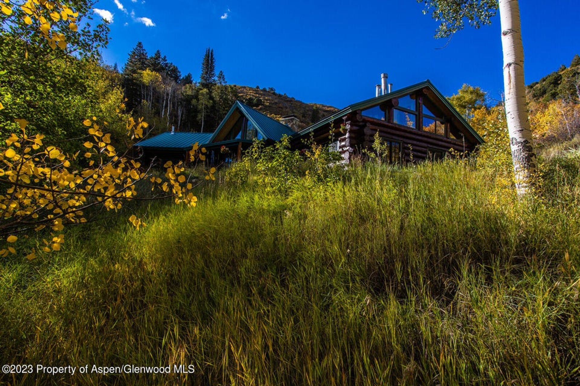 House in New Castle, Colorado 11850430